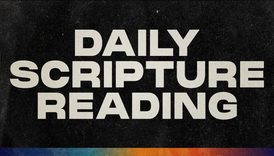 The words 'Daily Scripture Reading' in a bold, off-white font on a black textured background. A colorful gradient bar runs along the bottom.