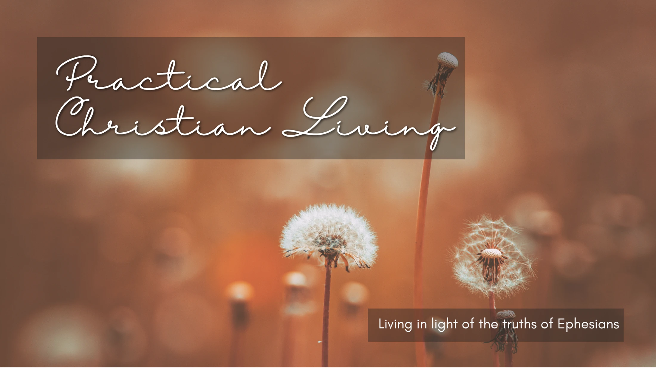 Practical Christian Living: Christ Exalting Marriage