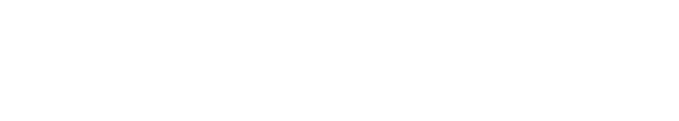 The Bridgestone logo, shown in white. It features a stylized 'B' symbol to the left of the word 'BRIDGESTONE' in a bold, custom typeface.