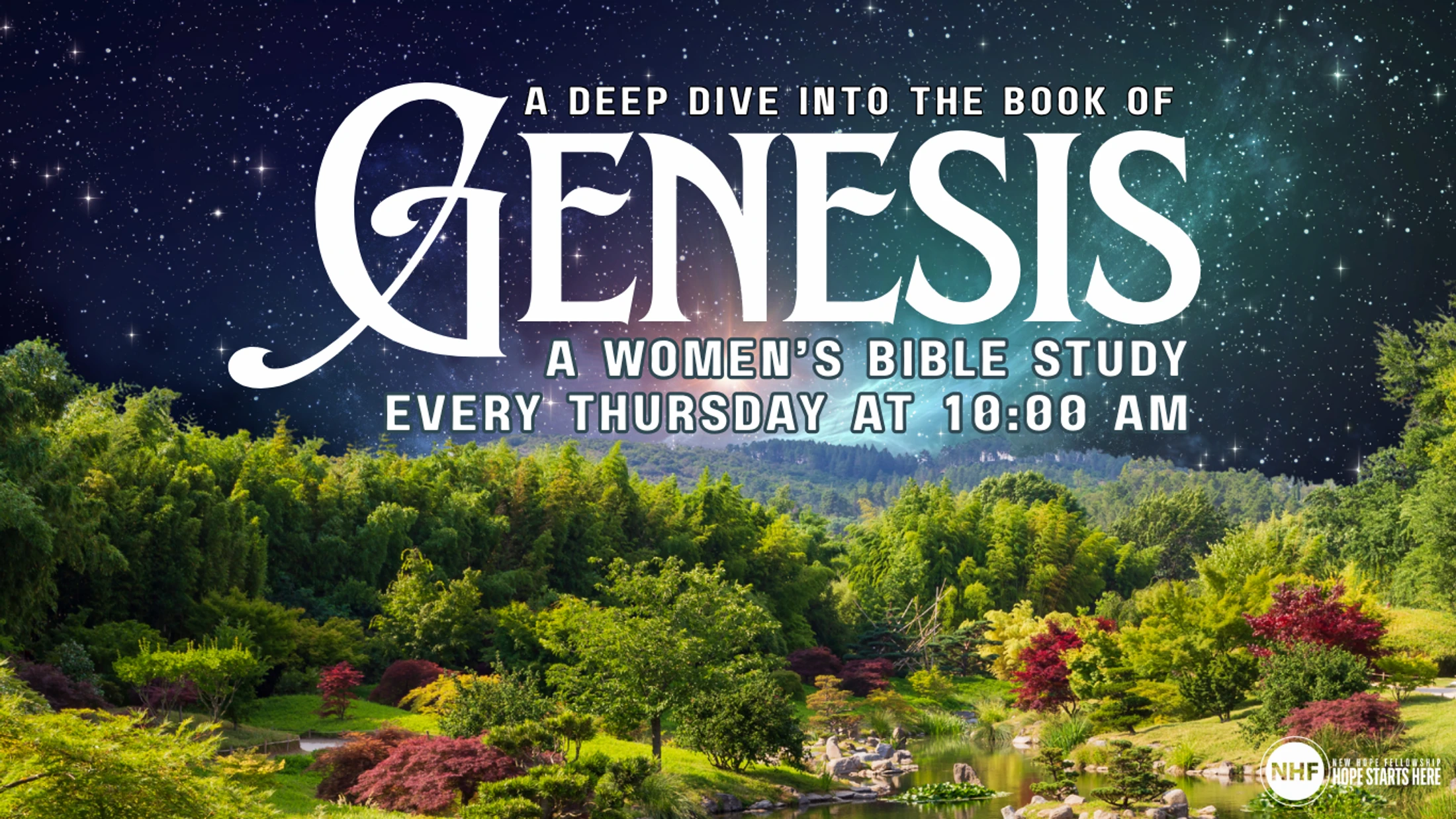 Women's Thursday Morning Bible Study