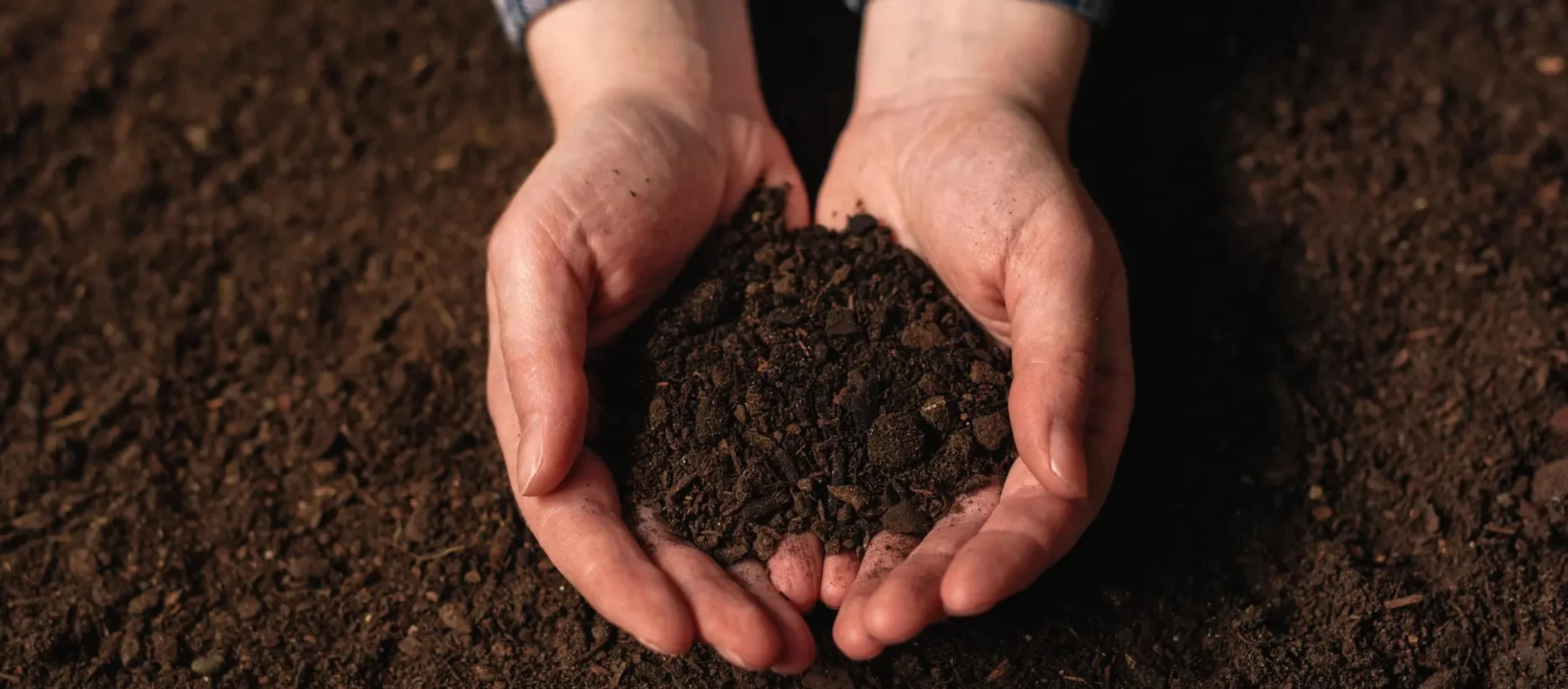 Becoming Fertile Soil