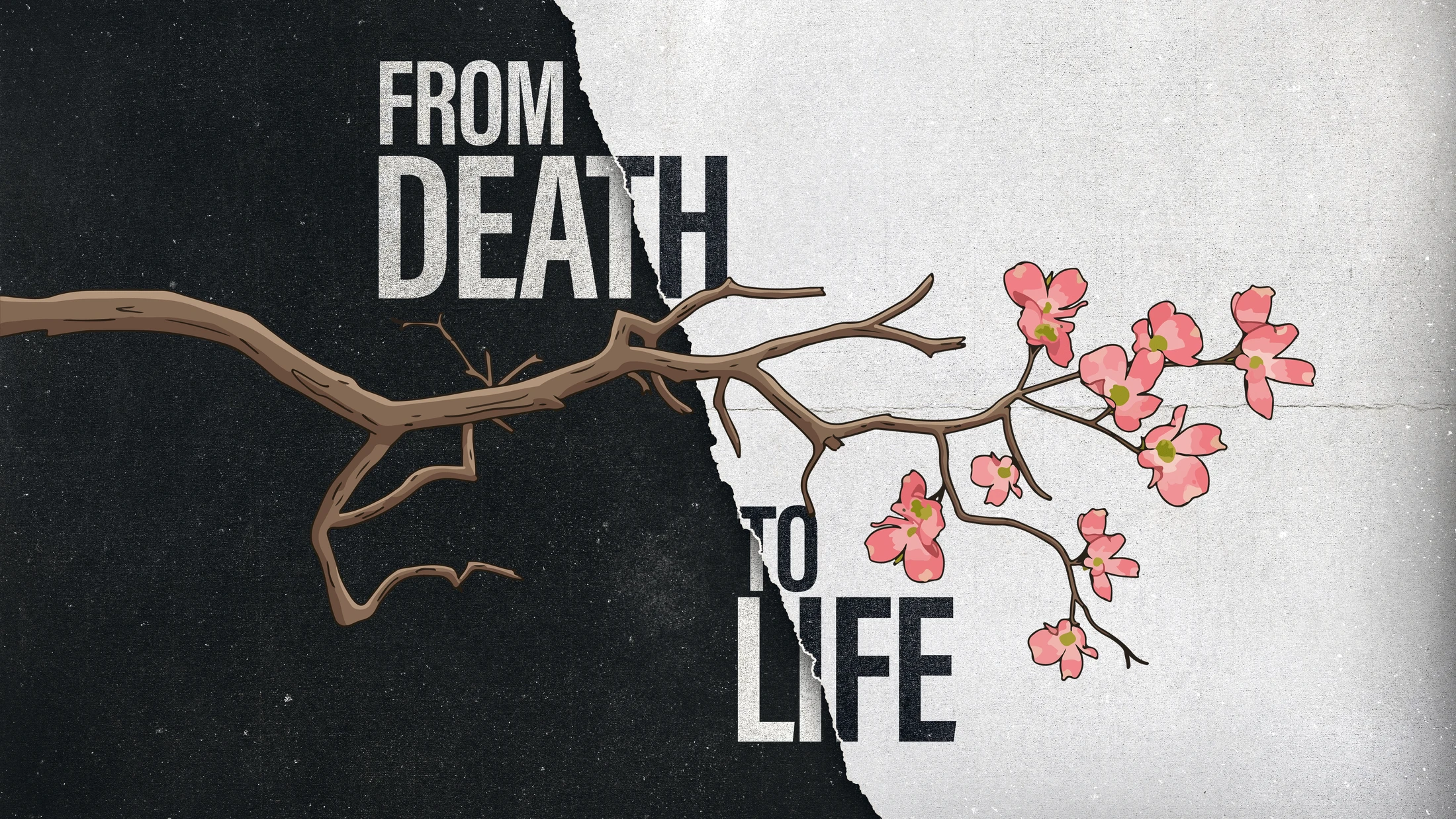 From Death to Life