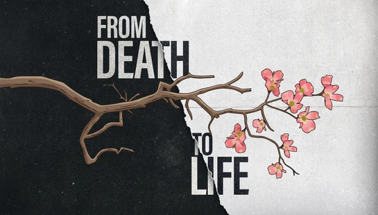 <span class="h6">From Death to Life</span>