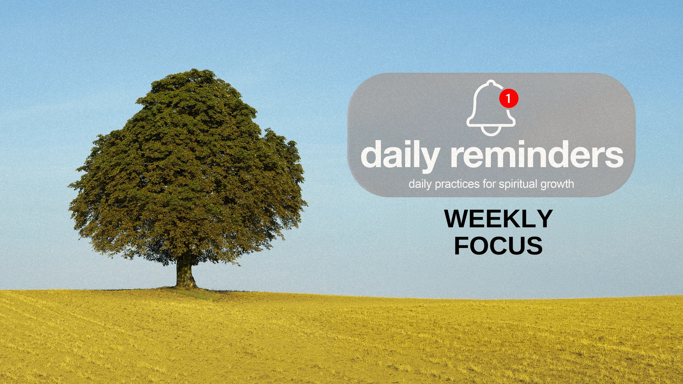 A lone tree in a golden field. A graphic overlay reads "daily reminders, daily practices for spiritual growth" and "WEEKLY FOCUS" with a notification icon.