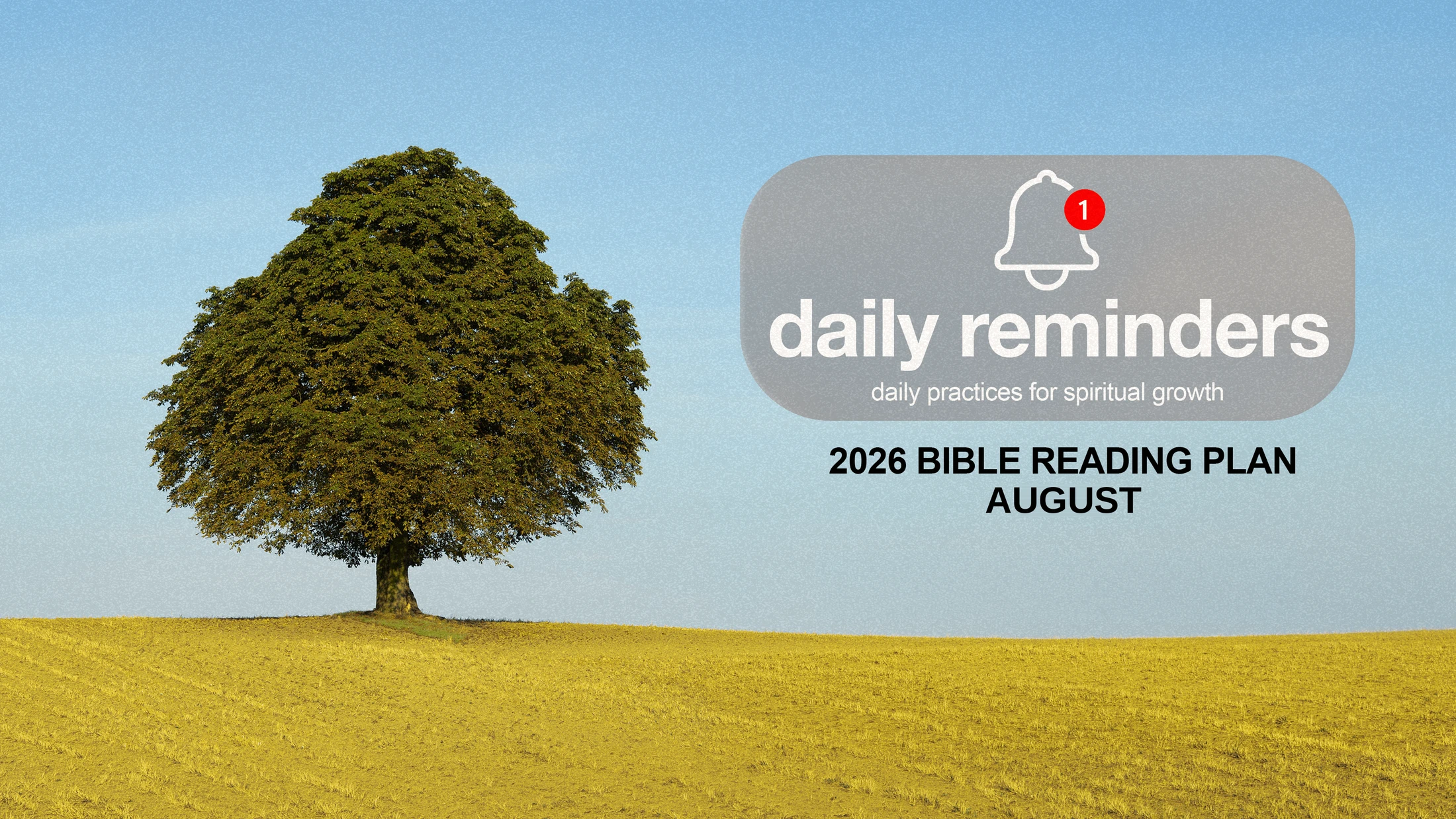 A large tree in a golden field. Text reads 'Daily Reminders: daily practices for spiritual growth. 2026 Bible Reading Plan, August' with a notification icon.