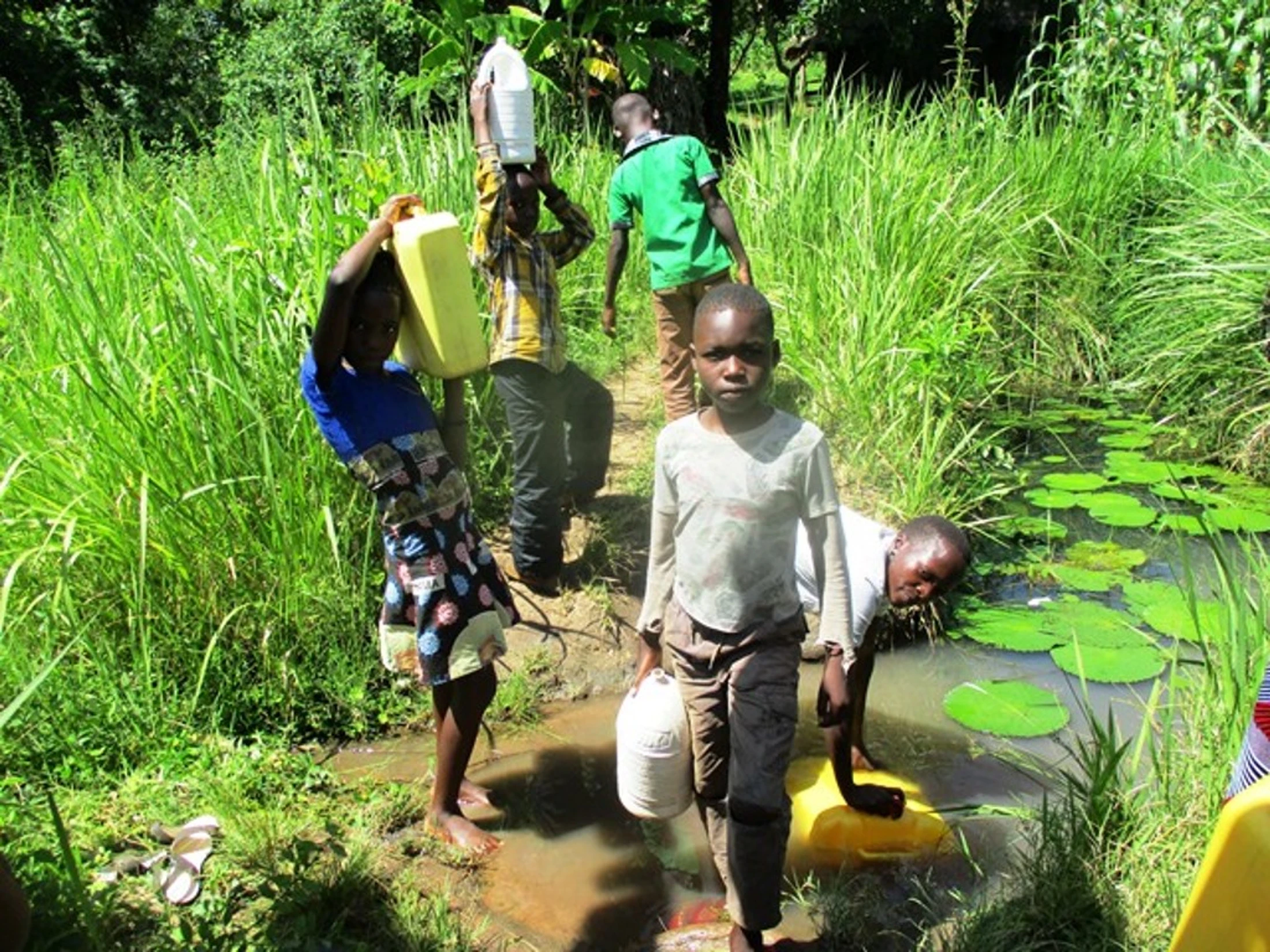 A group of young children collect water in plastic jugs from a murky pond surrounded by tall green grass and trees in a rural setting.