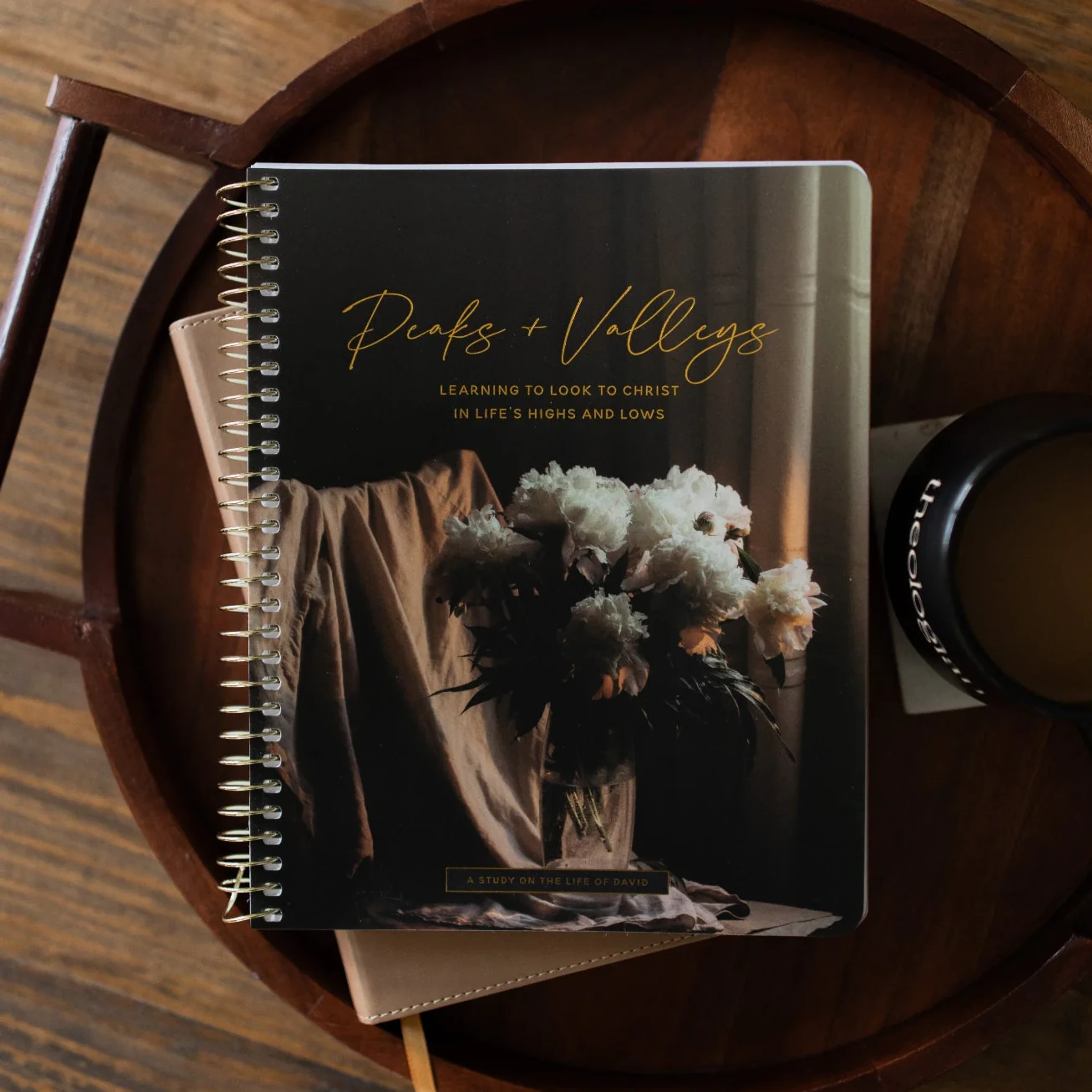 Peaks &amp; Valleys: The Study of the Life of David
