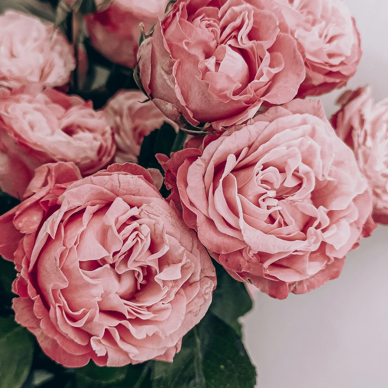 Let’s flourish!&nbsp;