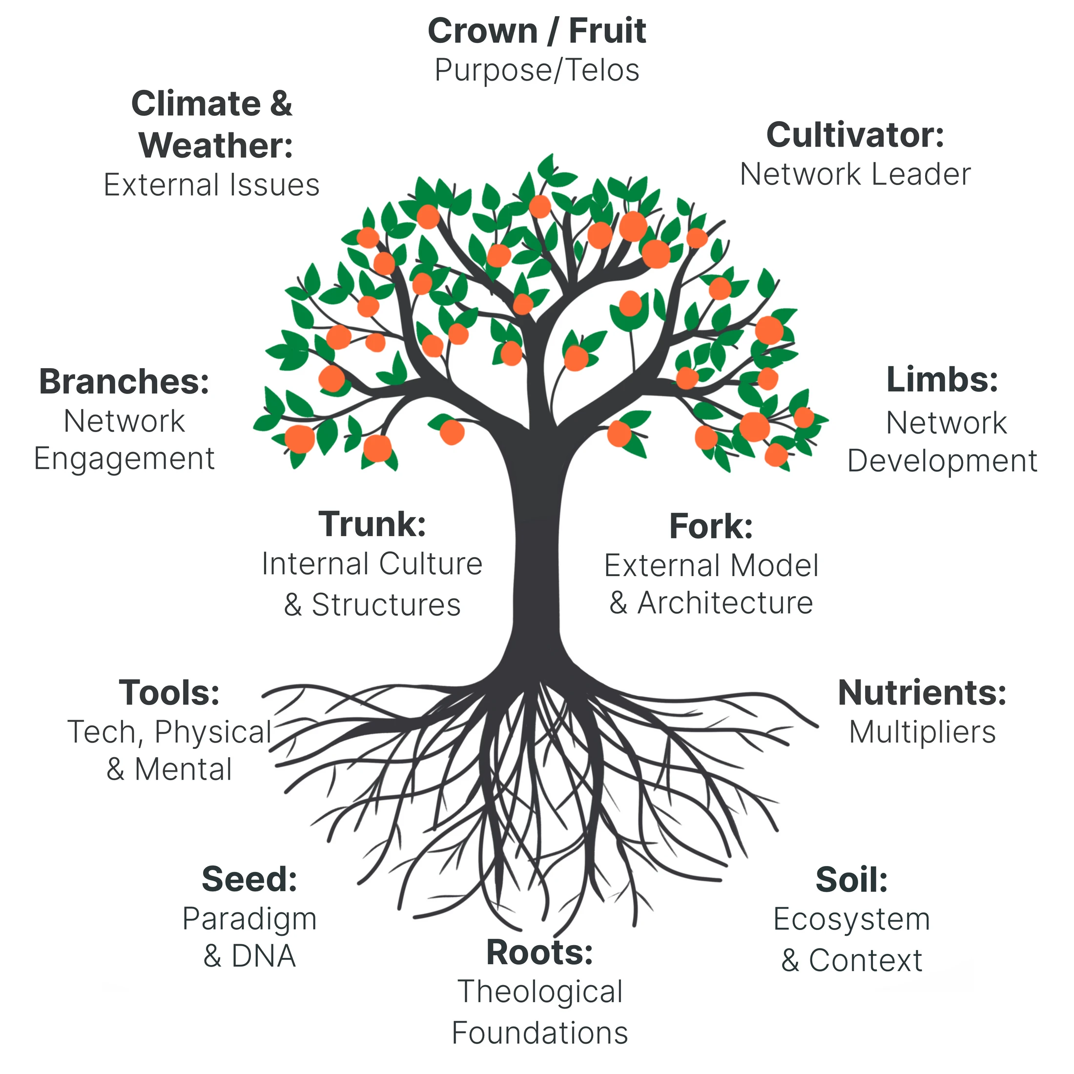 A diagram using a fruit tree as a metaphor. Each part of the tree, from roots to fruit, is labeled with a corresponding concept for a network or organization.