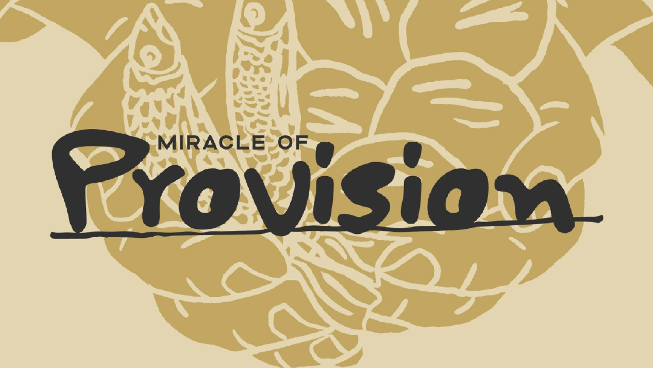Miracle of Provision