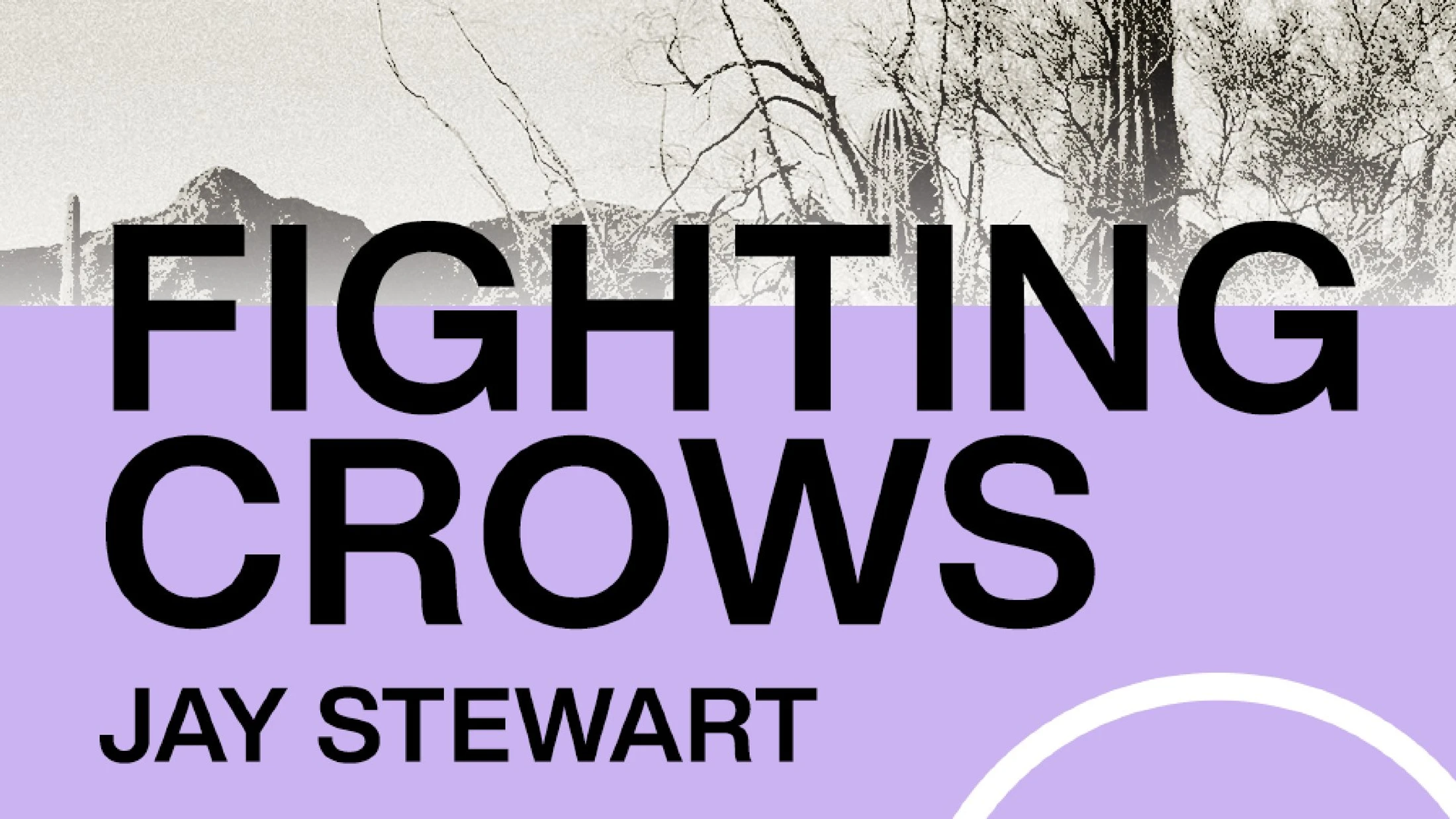 Fighting Crows