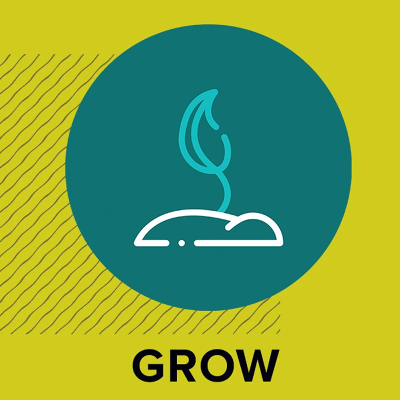 A graphic icon of a white and teal seedling sprouting from the ground inside a dark teal circle. The background is chartreuse with the word 'GROW' below.