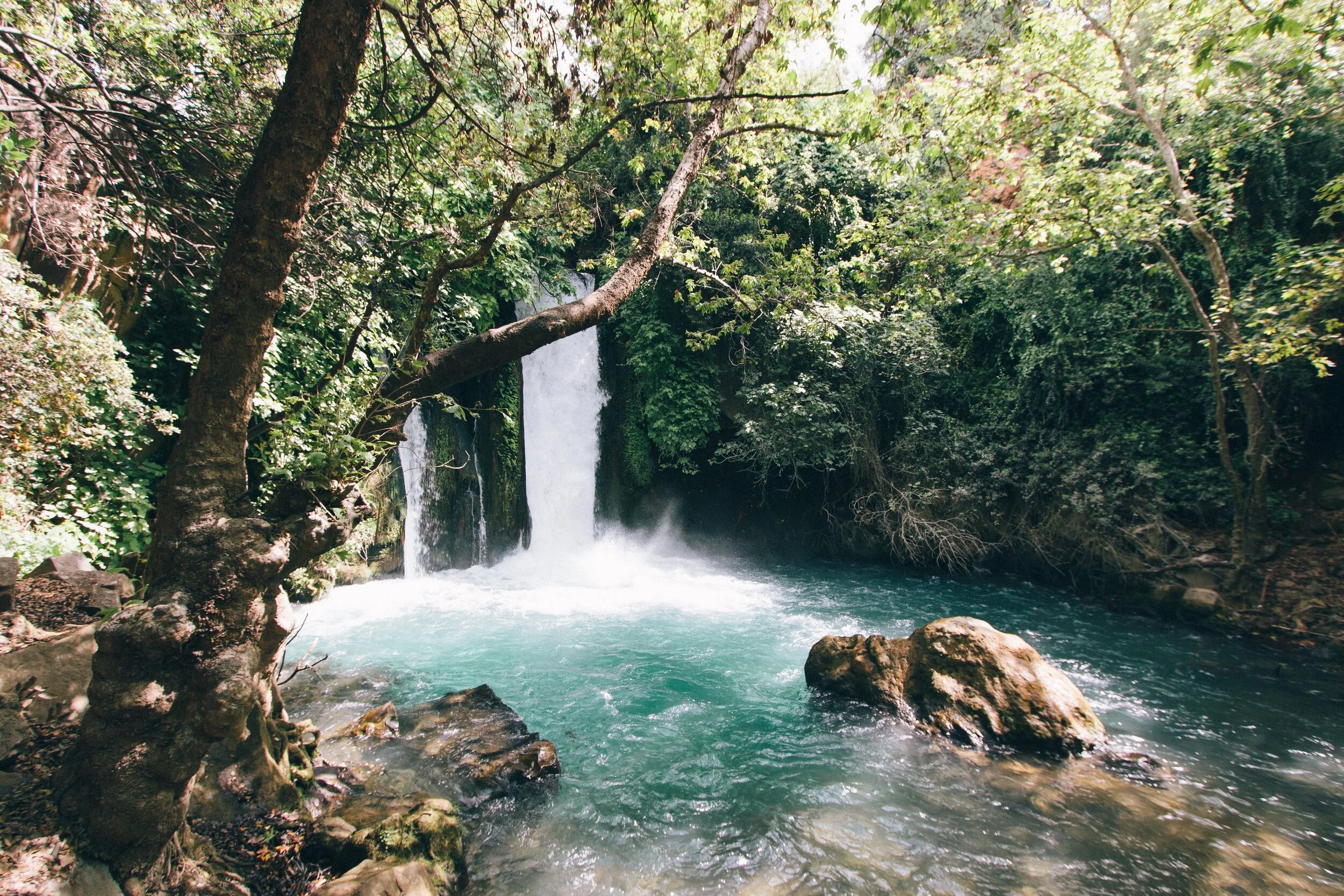 robert-bye-gFSqwxMTYXw-unsplash.jpg