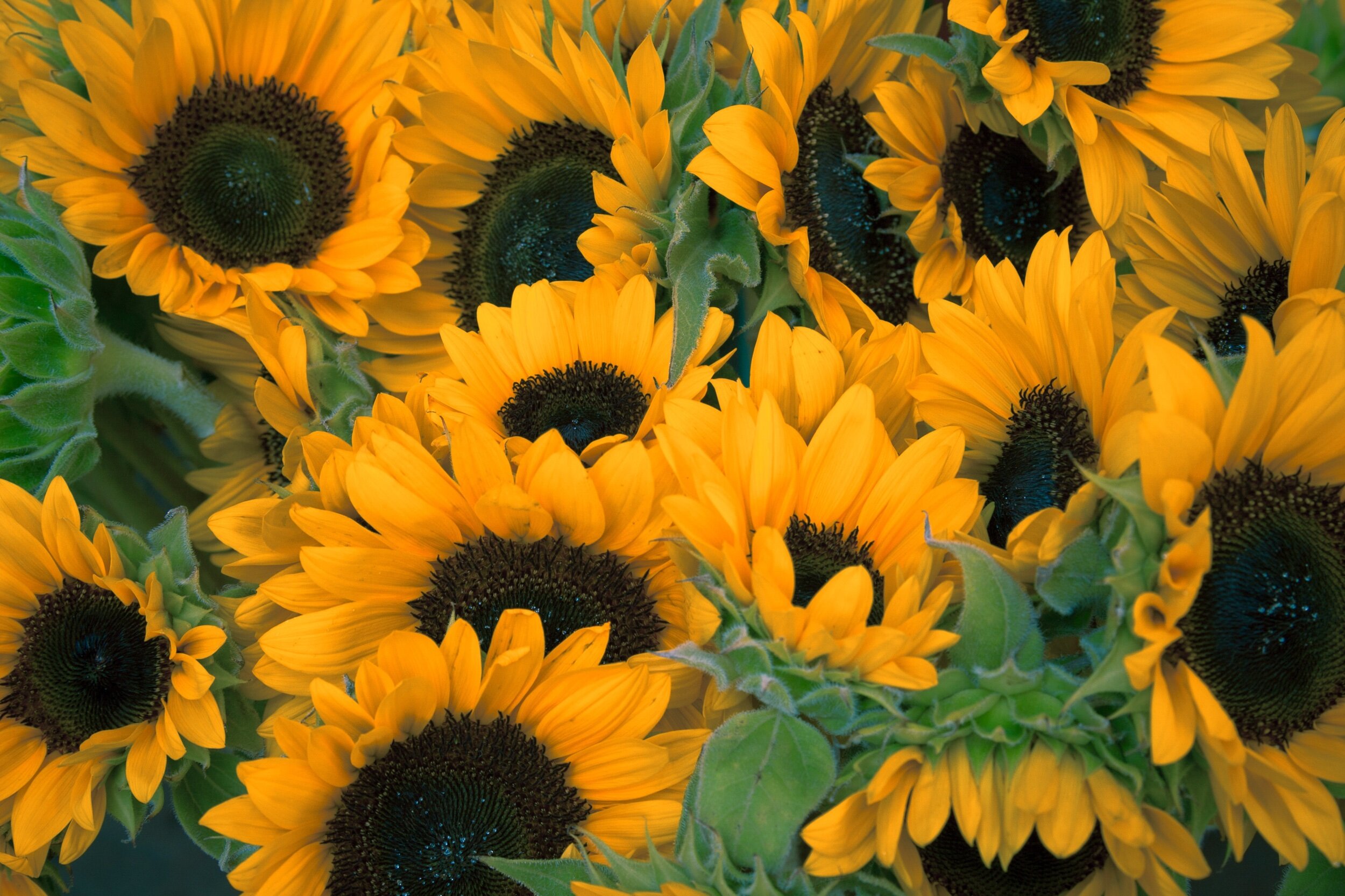 D7711DE1-2AA8-457F-BD2C-BB2E87C8F7D2.jpeg