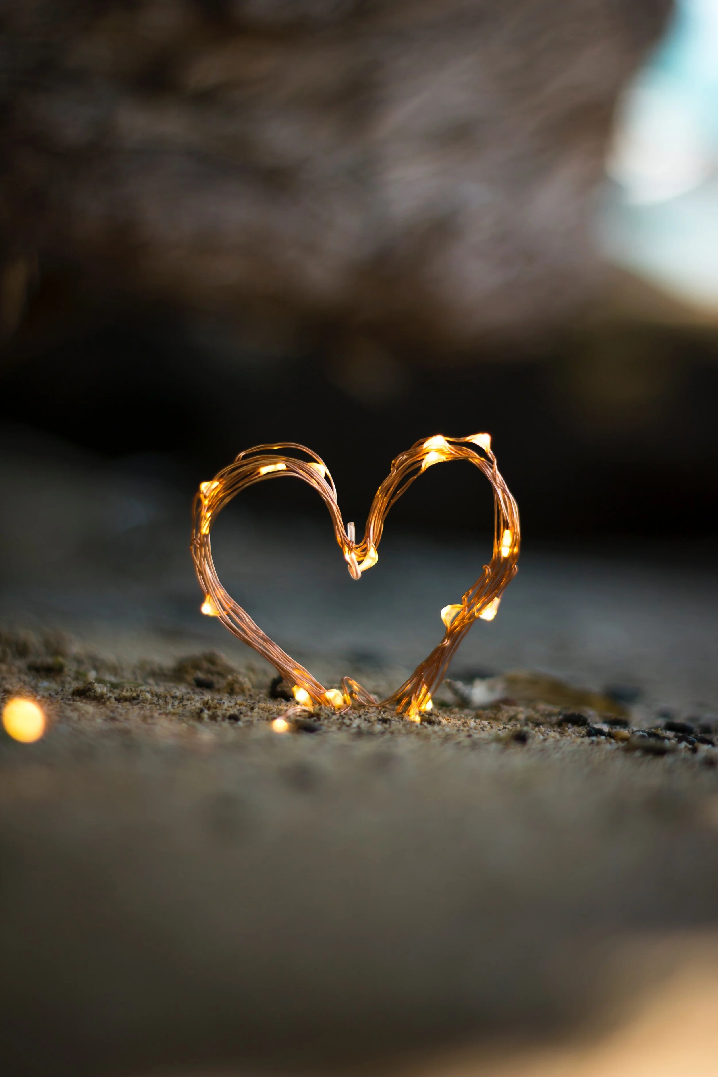 Photo by Fadi Xd on Unsplash