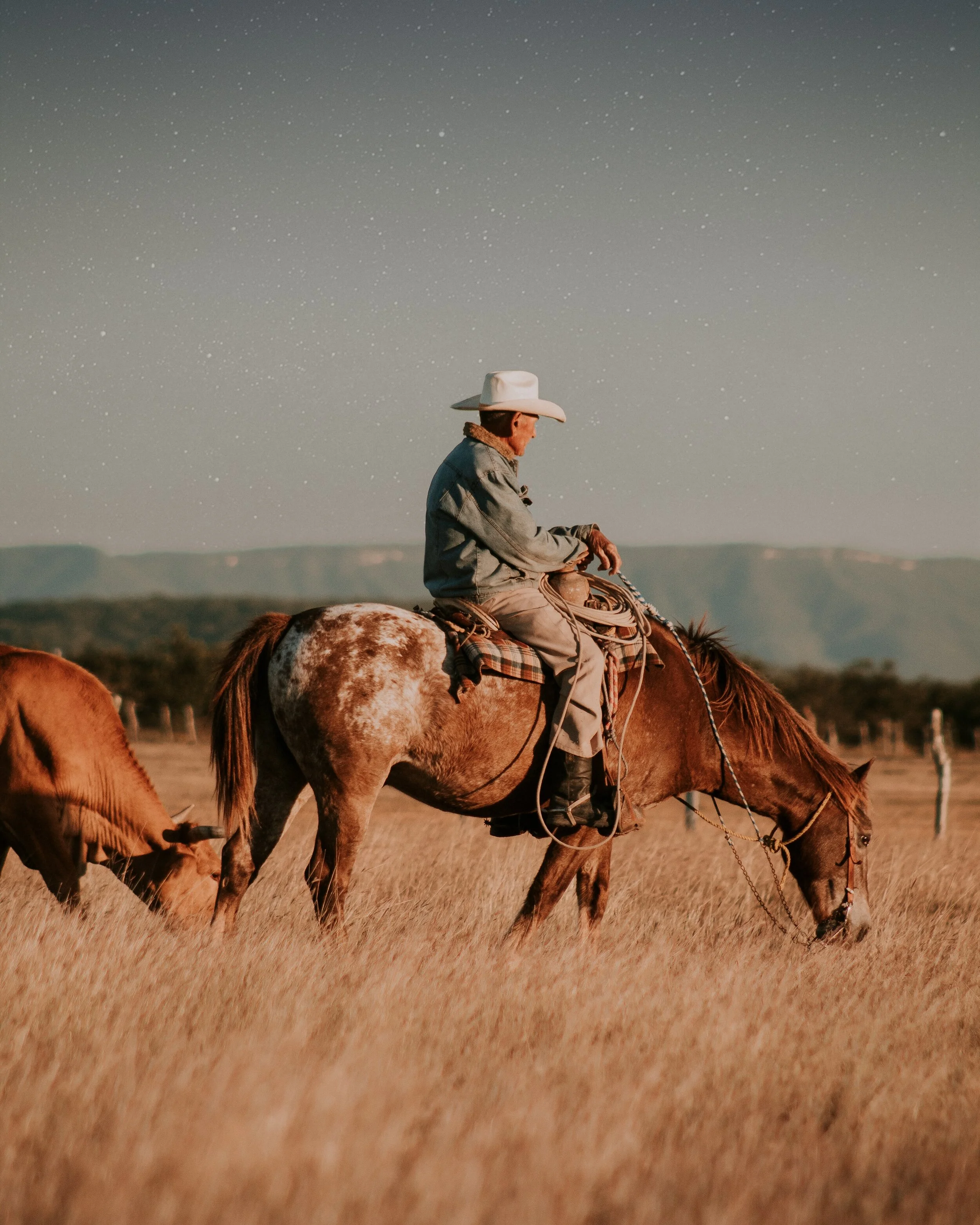Photo by Luis Hinojosa on Unsplash