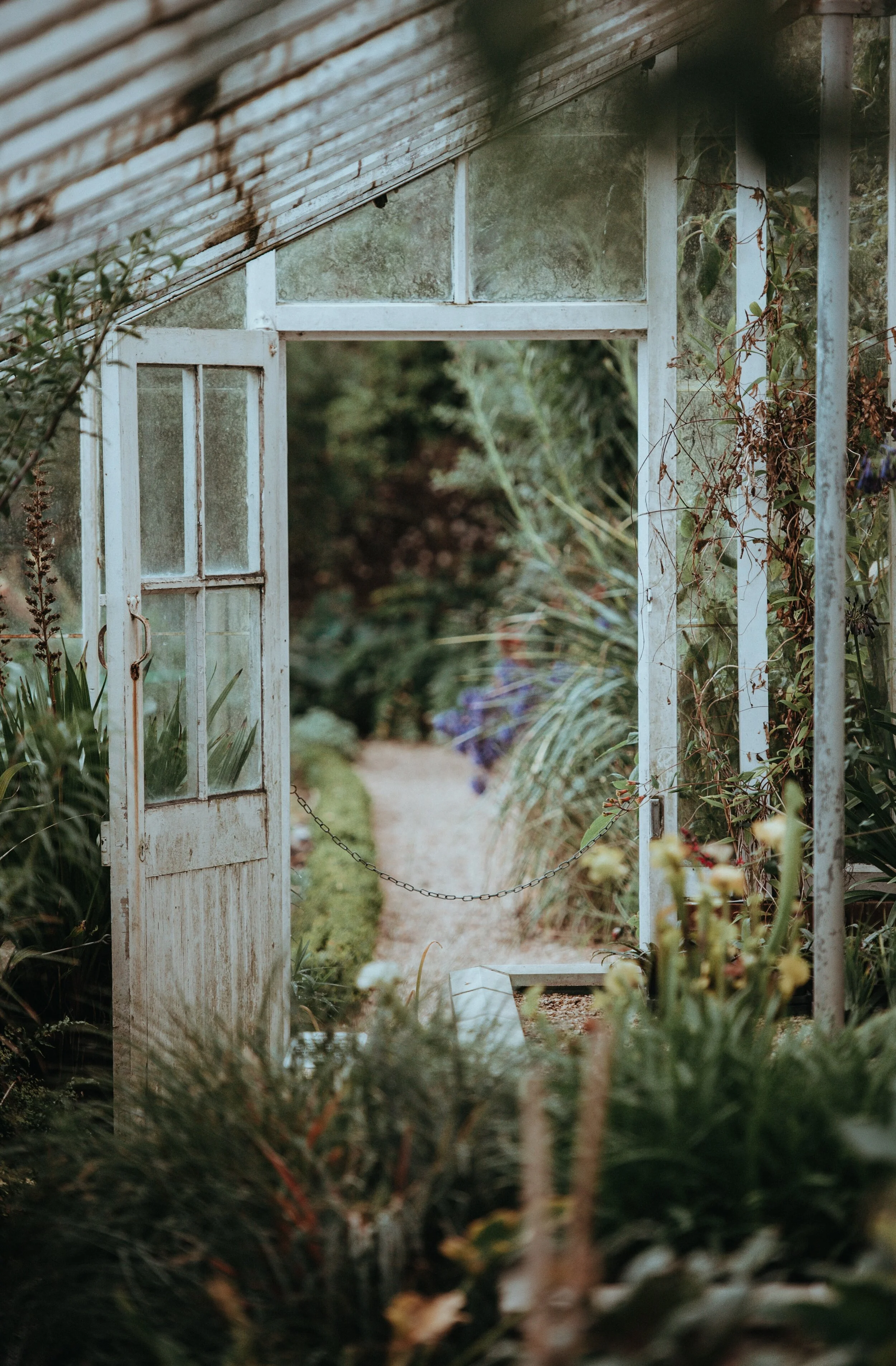 Photo by Annie Spratt on Unsplash