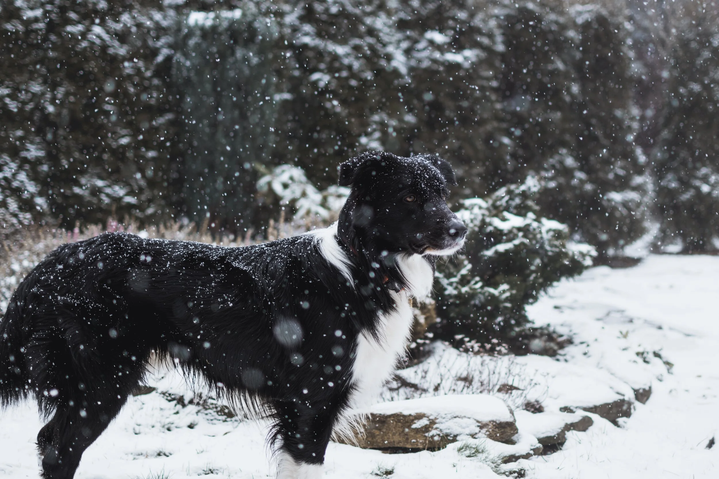 Photo by&nbsp;Tadeusz Lakota&nbsp;on&nbsp;Unsplash