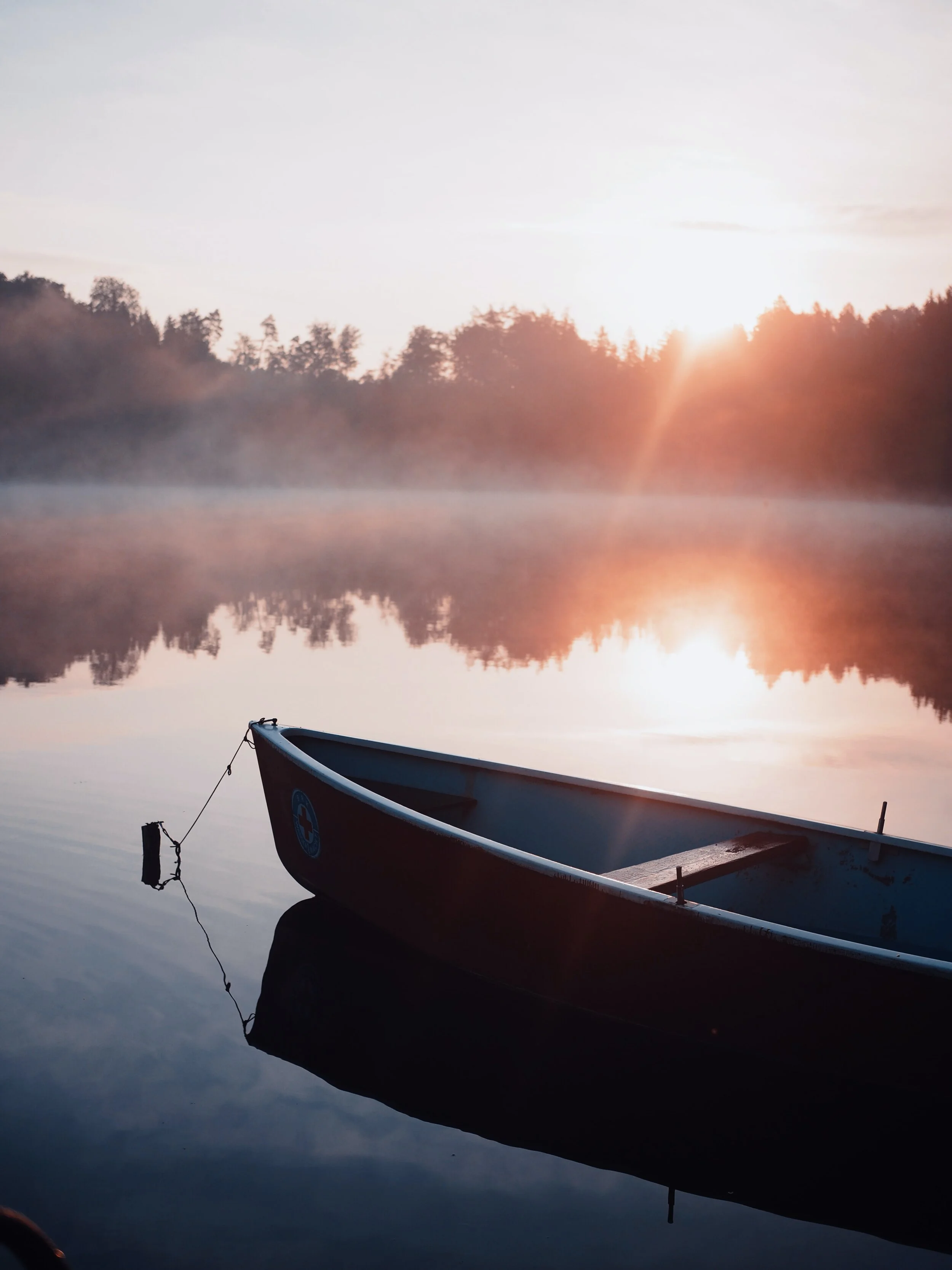 Photo by dominik reallife on Unsplash