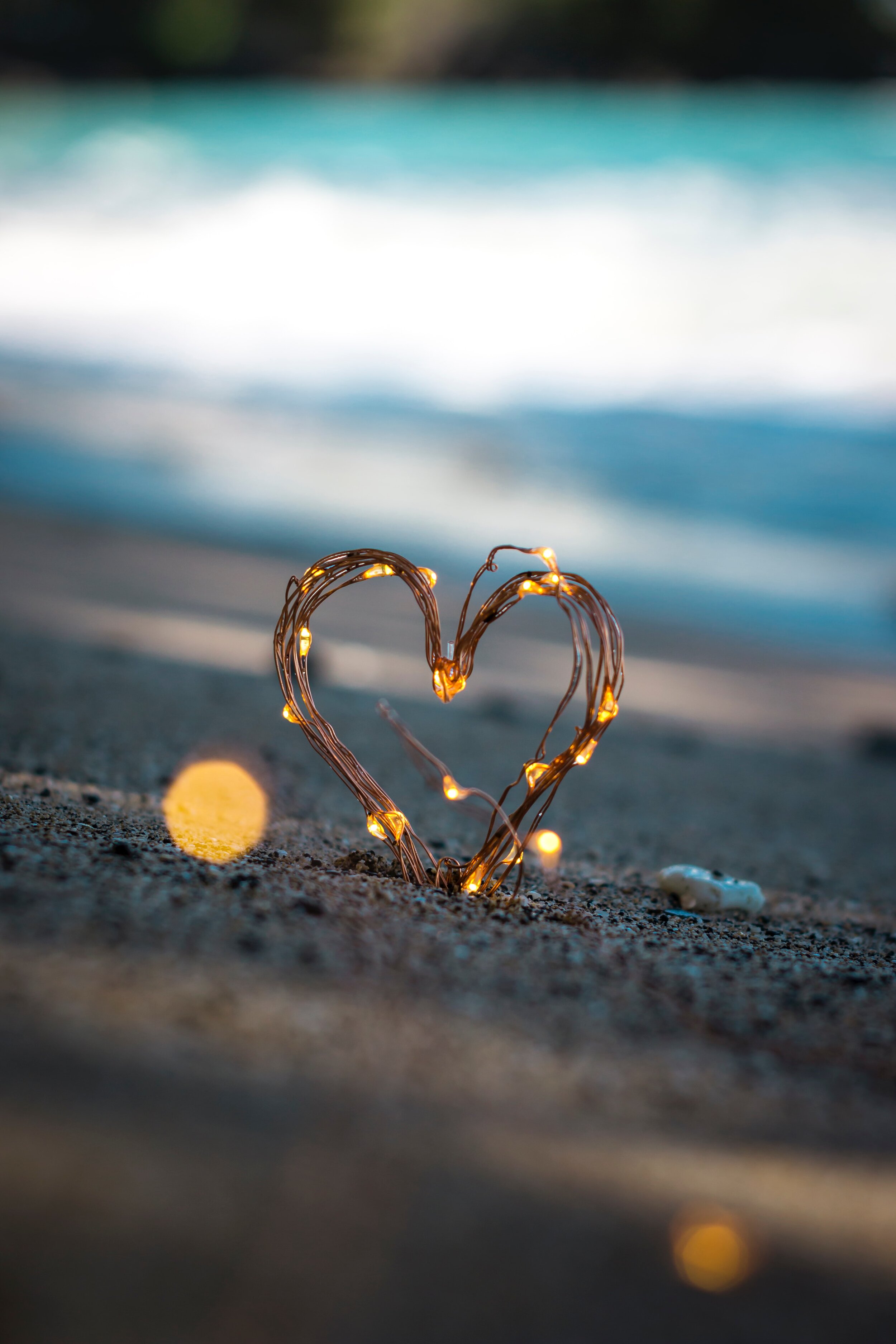 Photo by&nbsp;Steve Halama&nbsp;on&nbsp;Unsplash