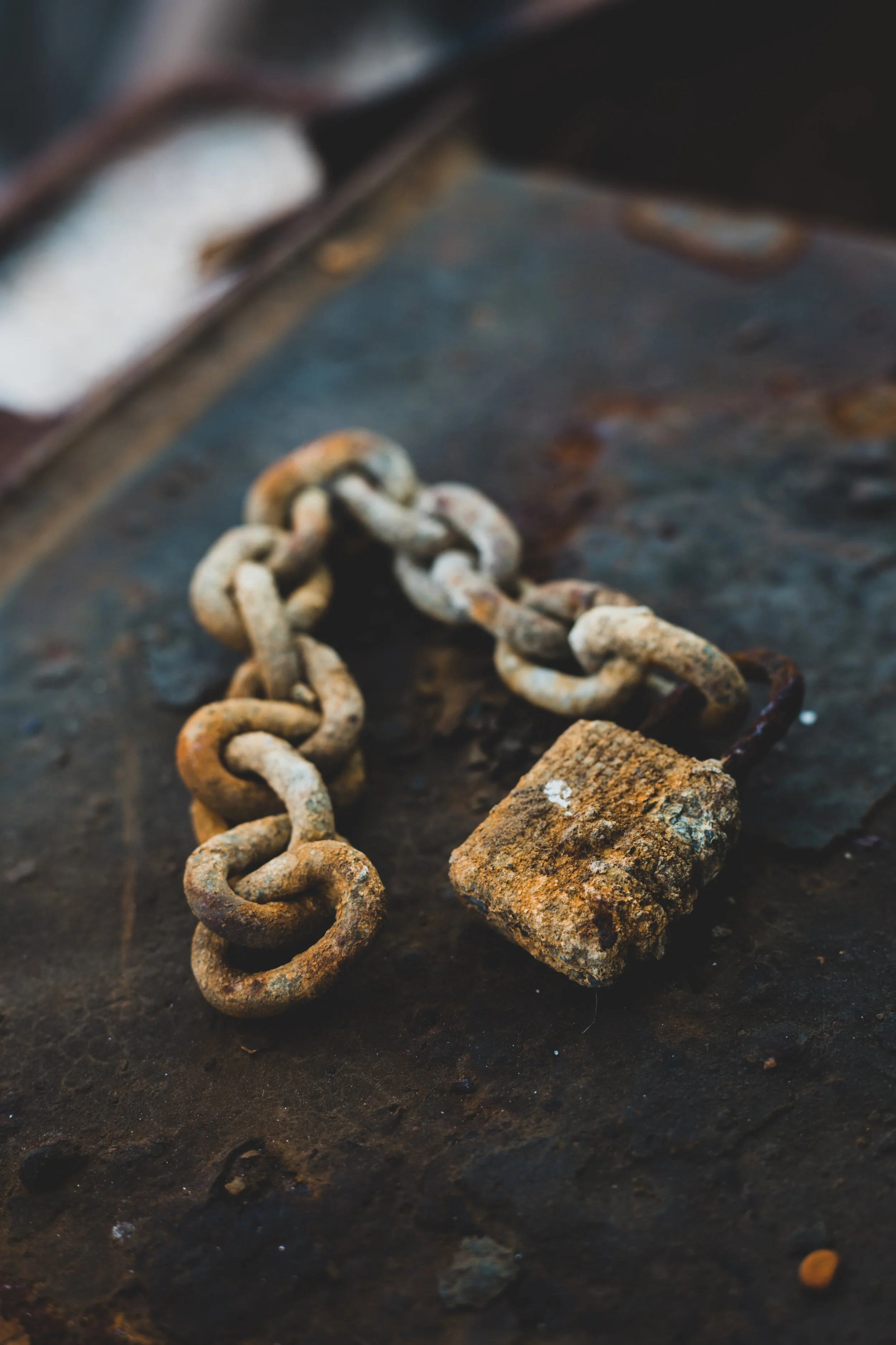 Photo by&nbsp;Benjamin Lambert&nbsp;on&nbsp;Unsplash