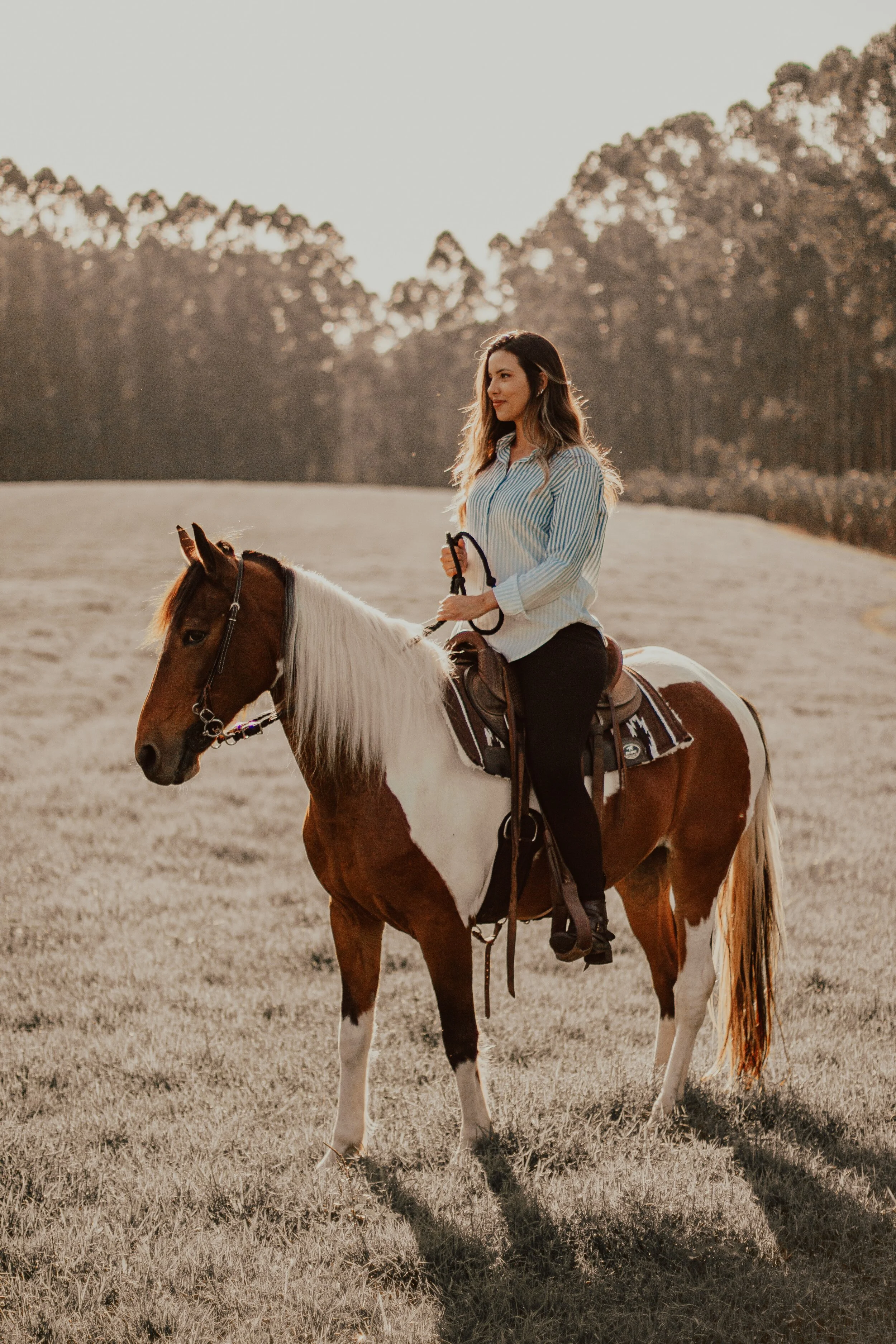 Photo by Paula Palmieri on Unsplash
