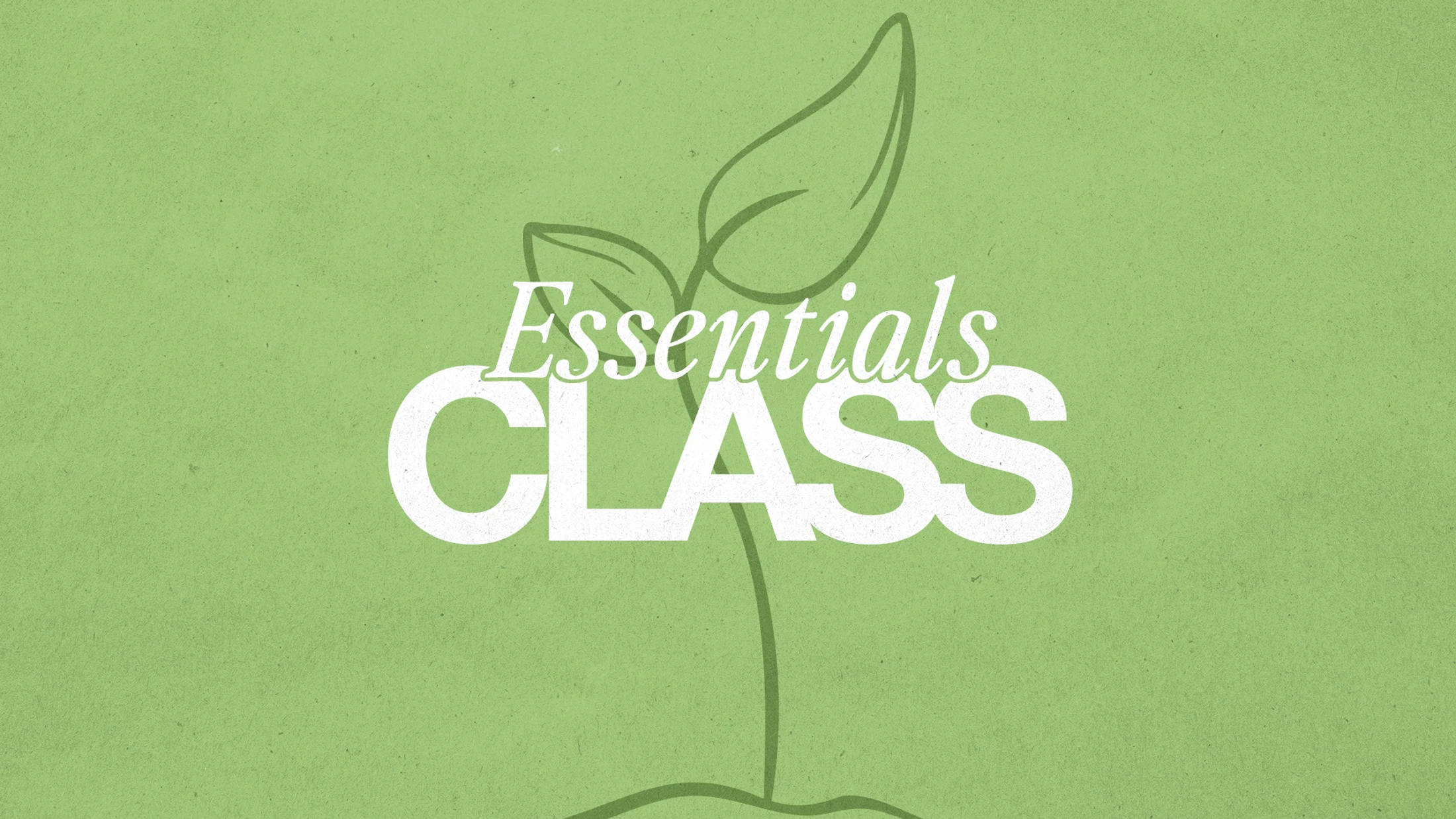 Essentials Class | September 27 - November 1, 2026