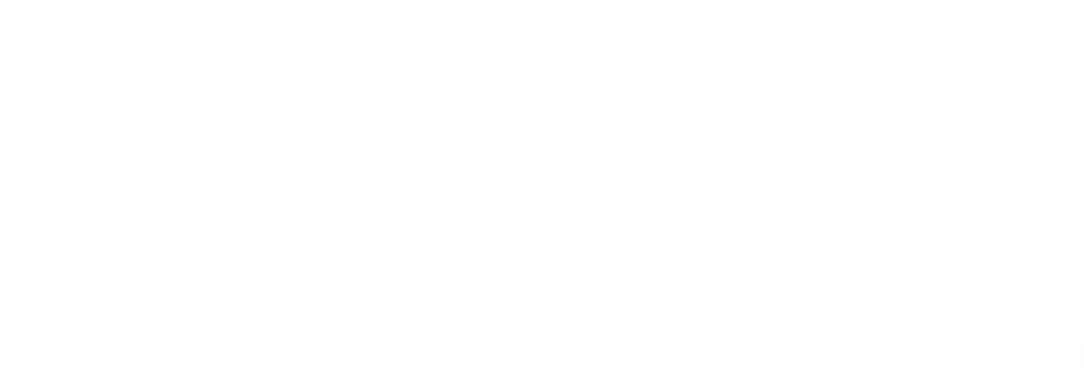 Main Logo