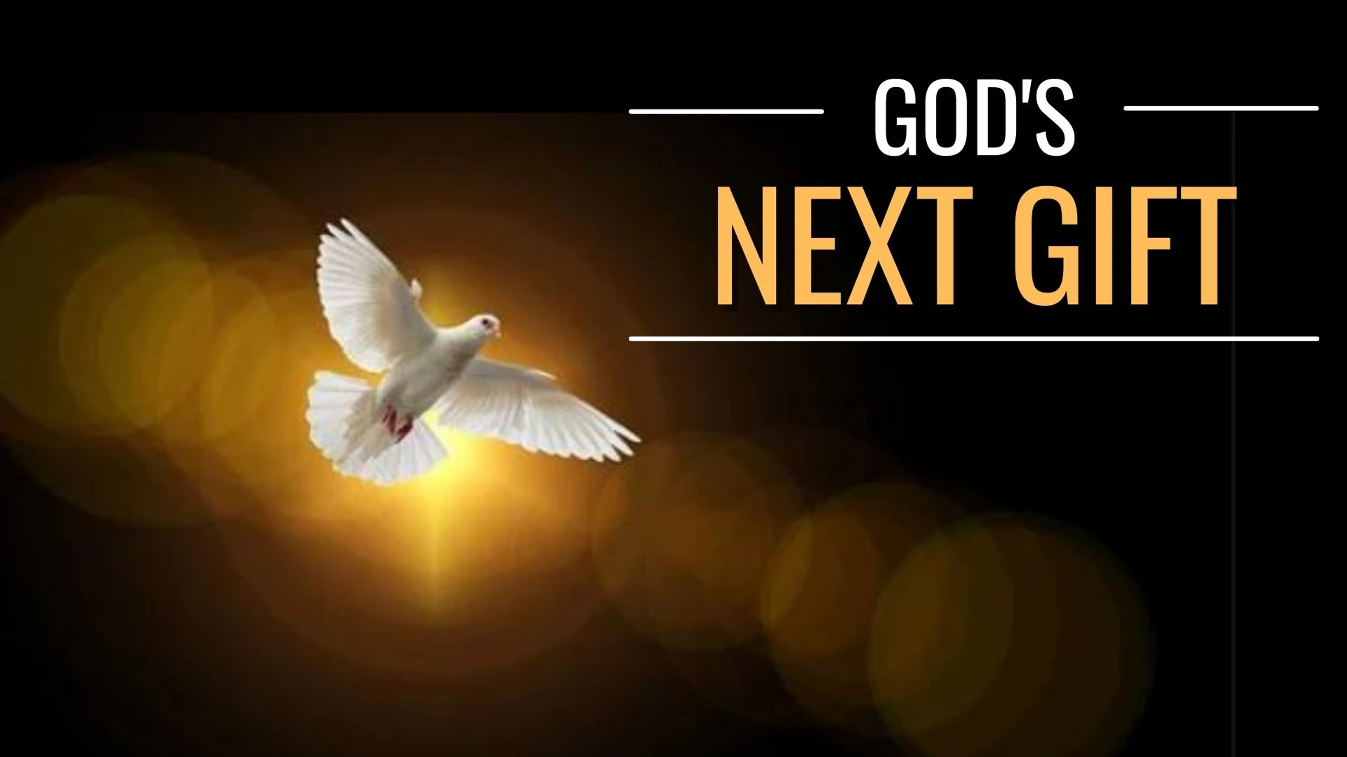God's Next Gift