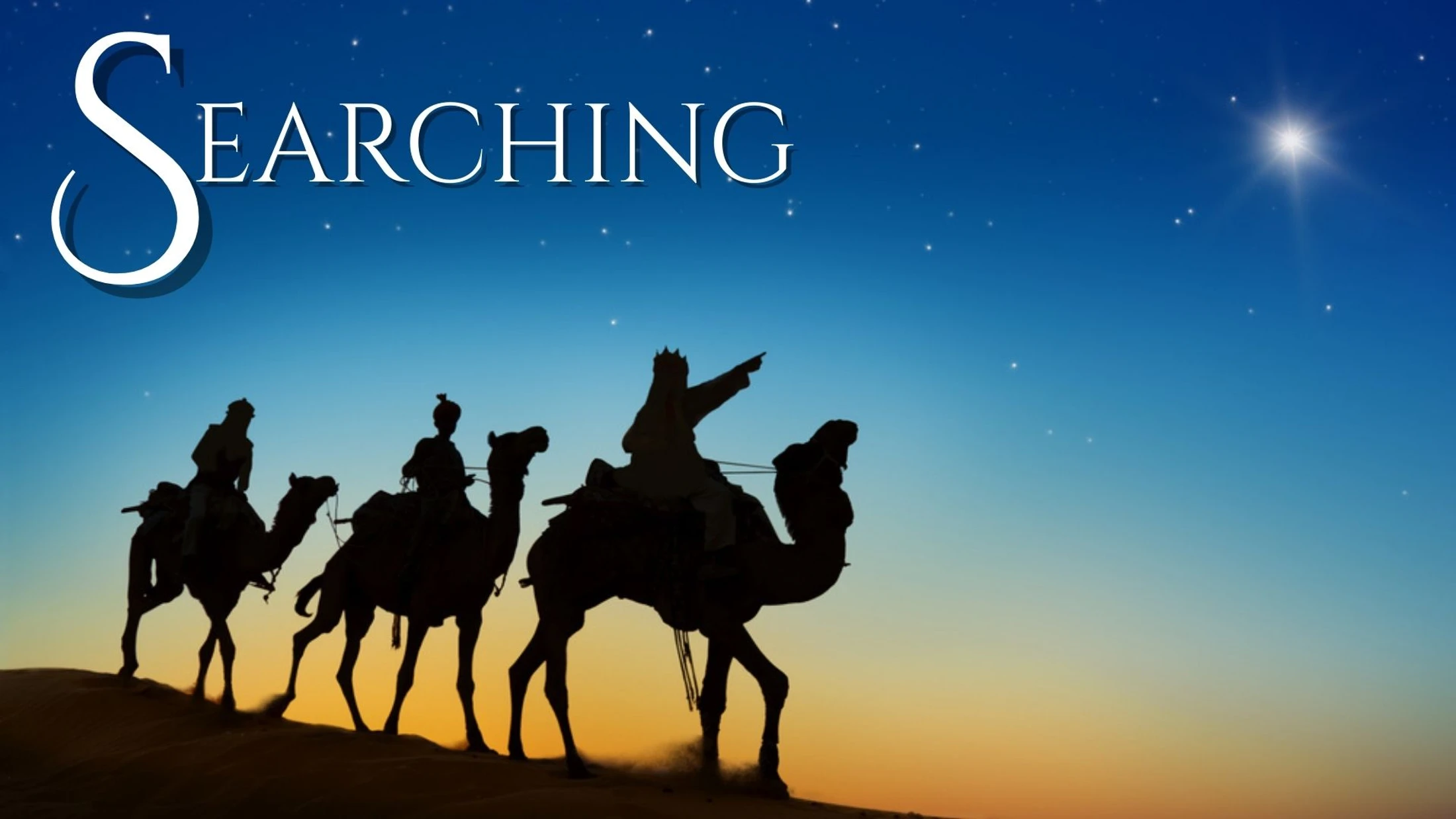 Searching for...