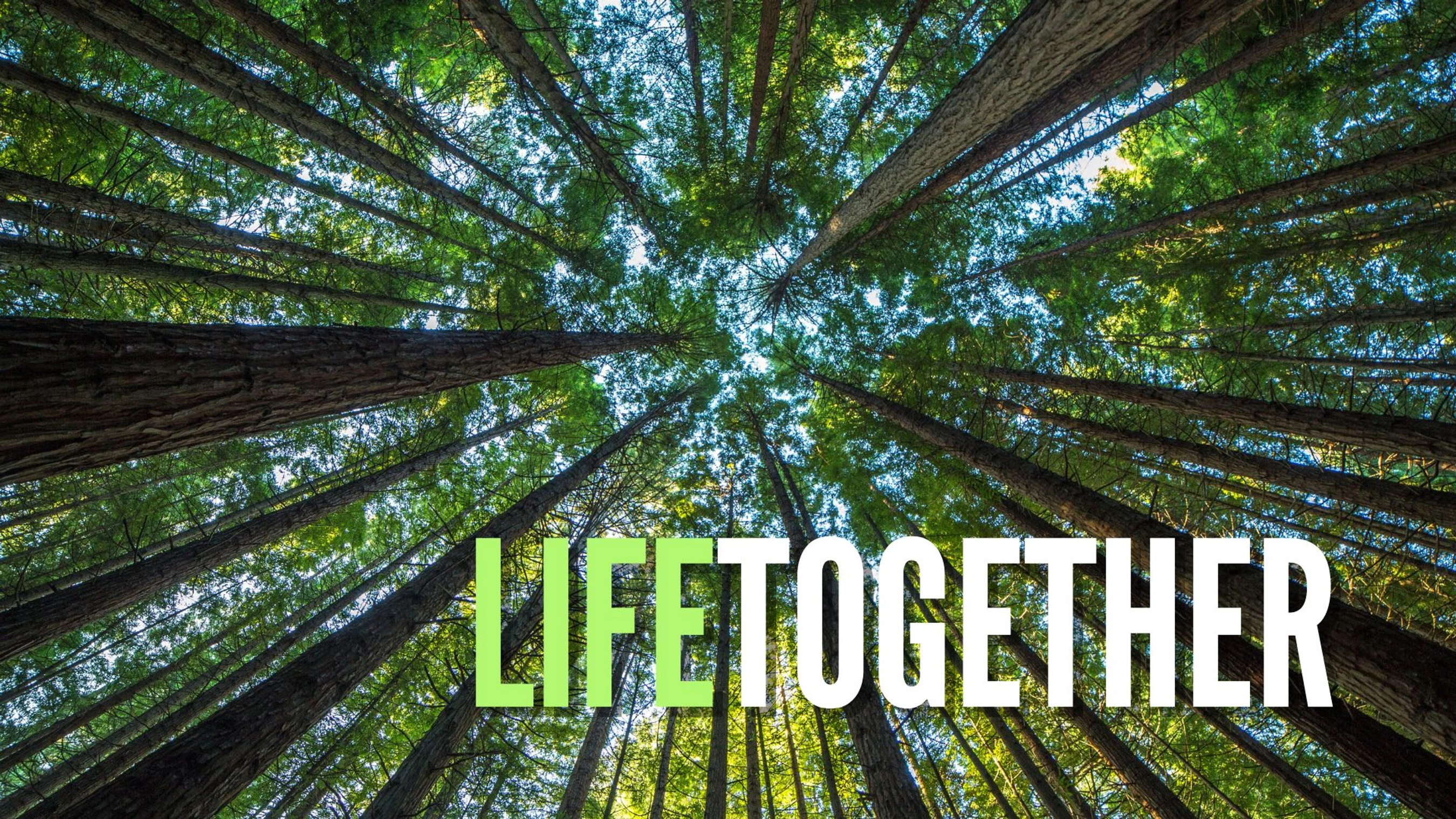 Life<br>Together