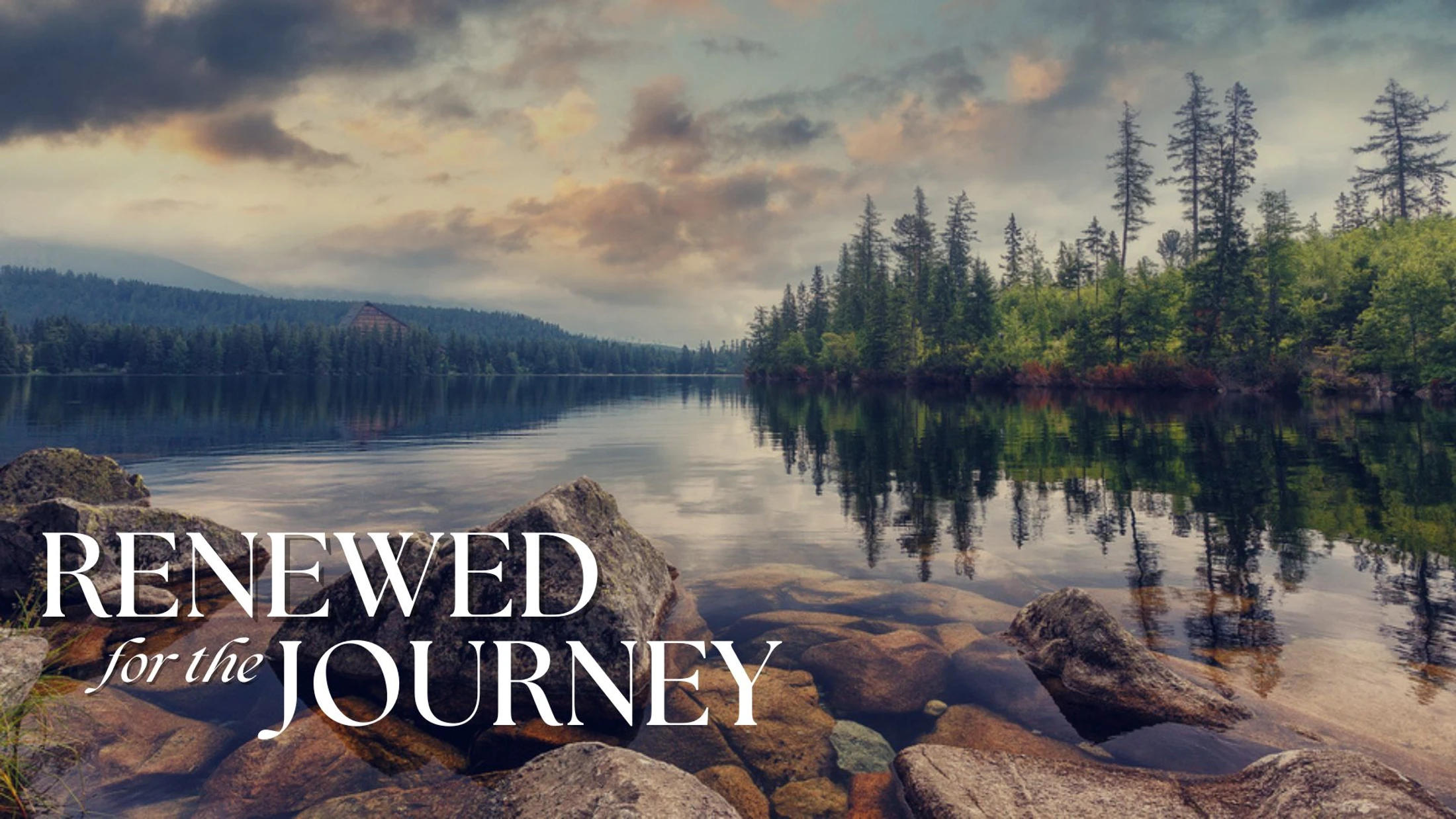 Renewed in Relationships - Relational Renewal