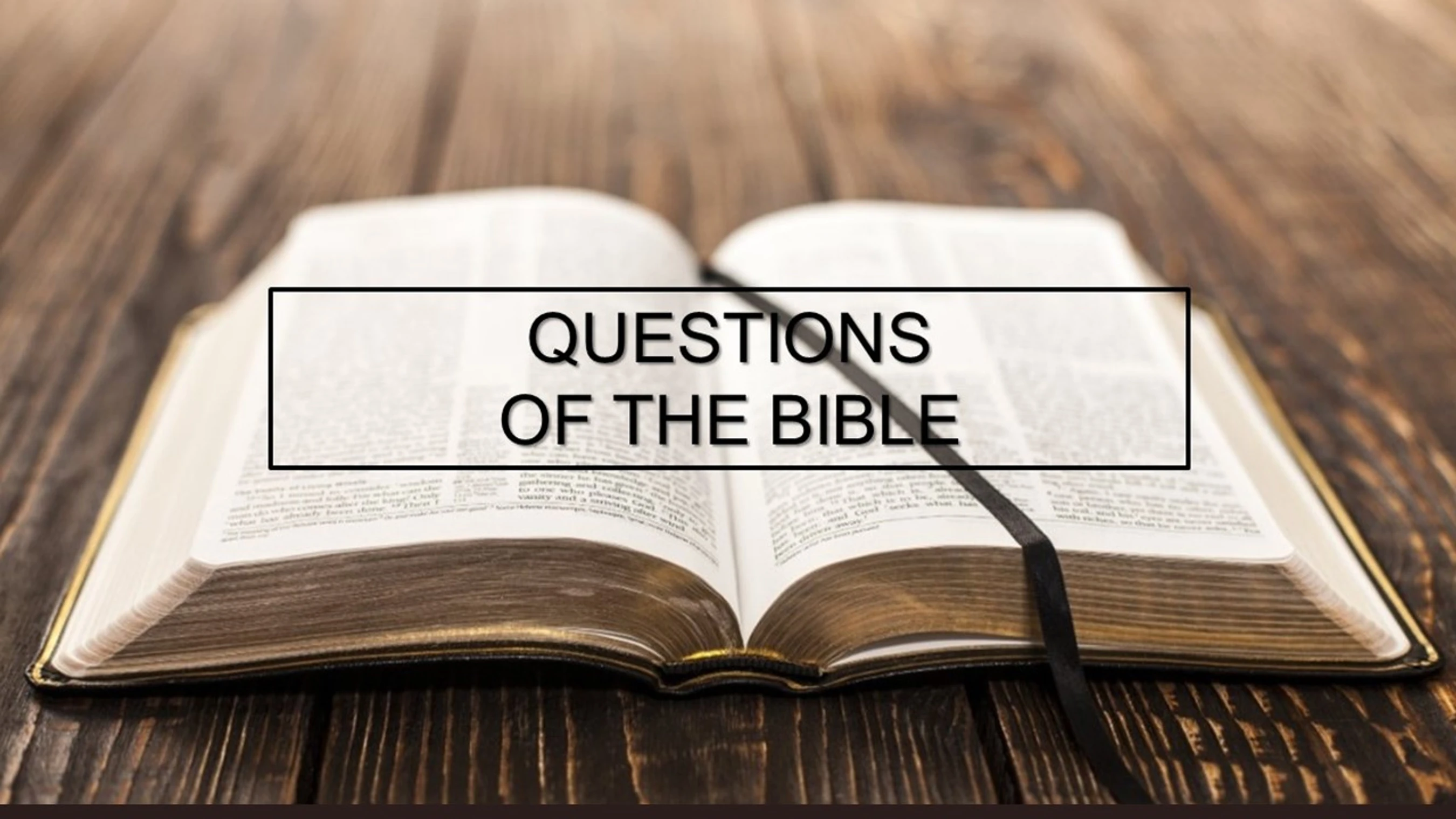 Questions of the Bible