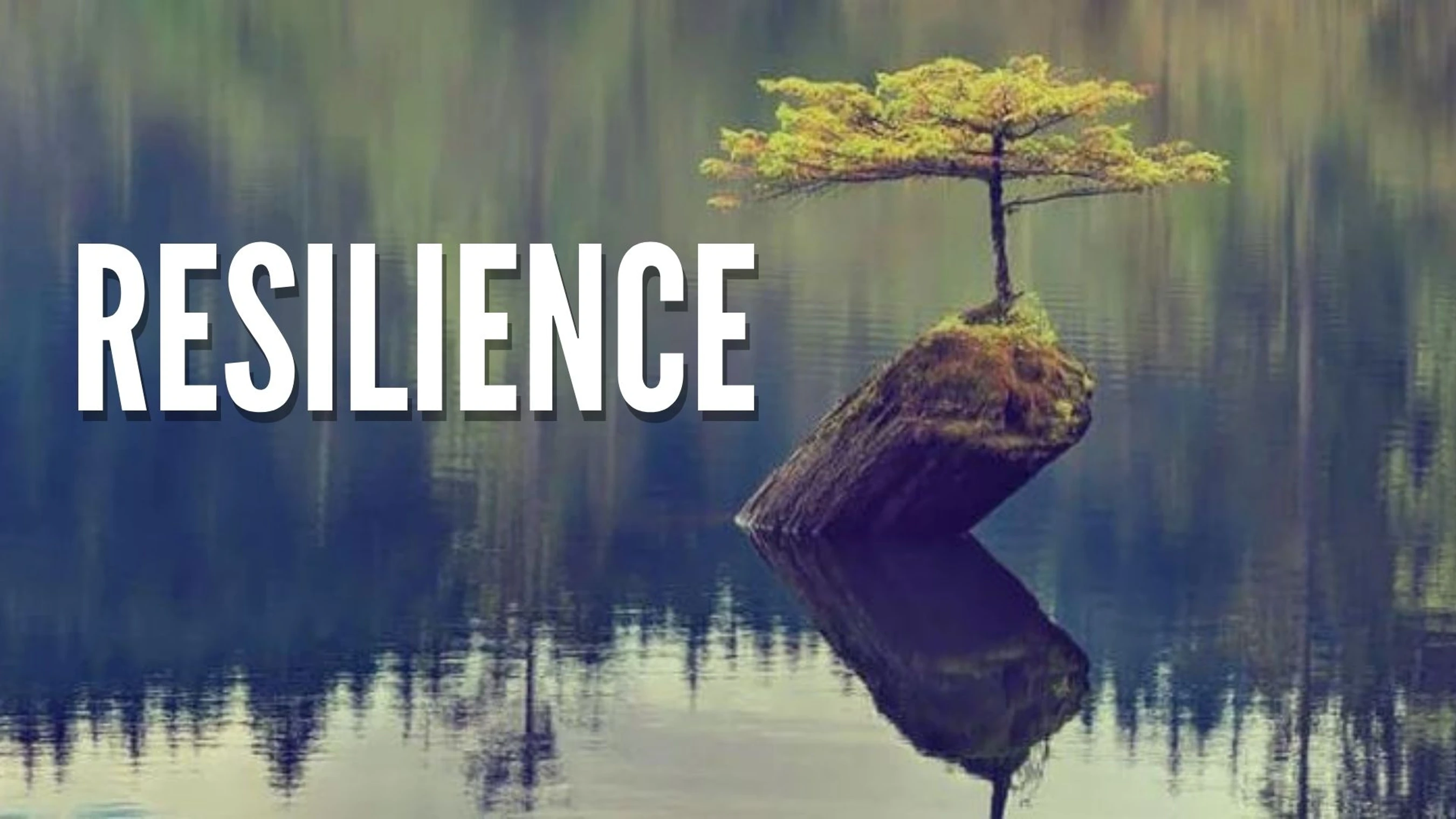 Resilience