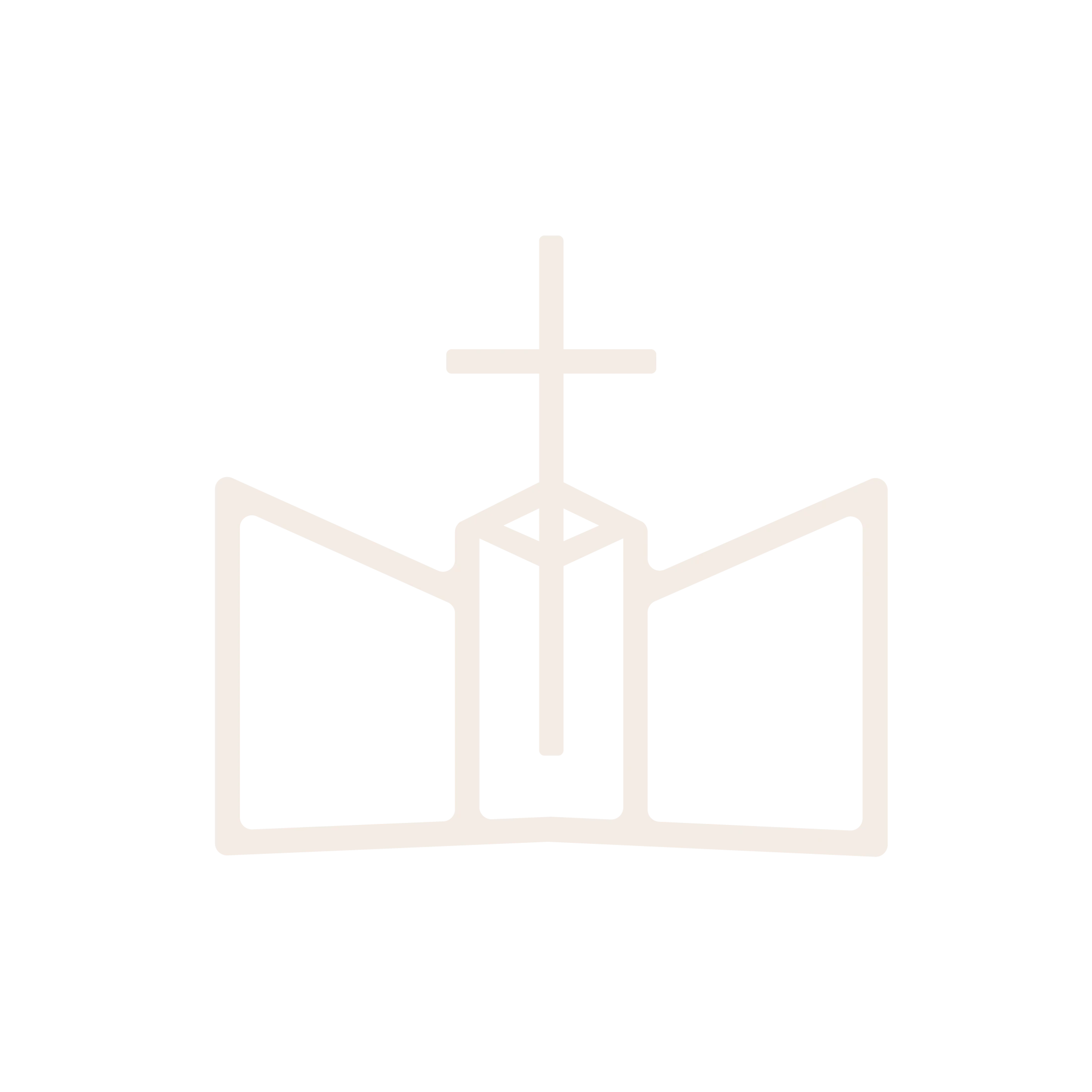 Main Logo
