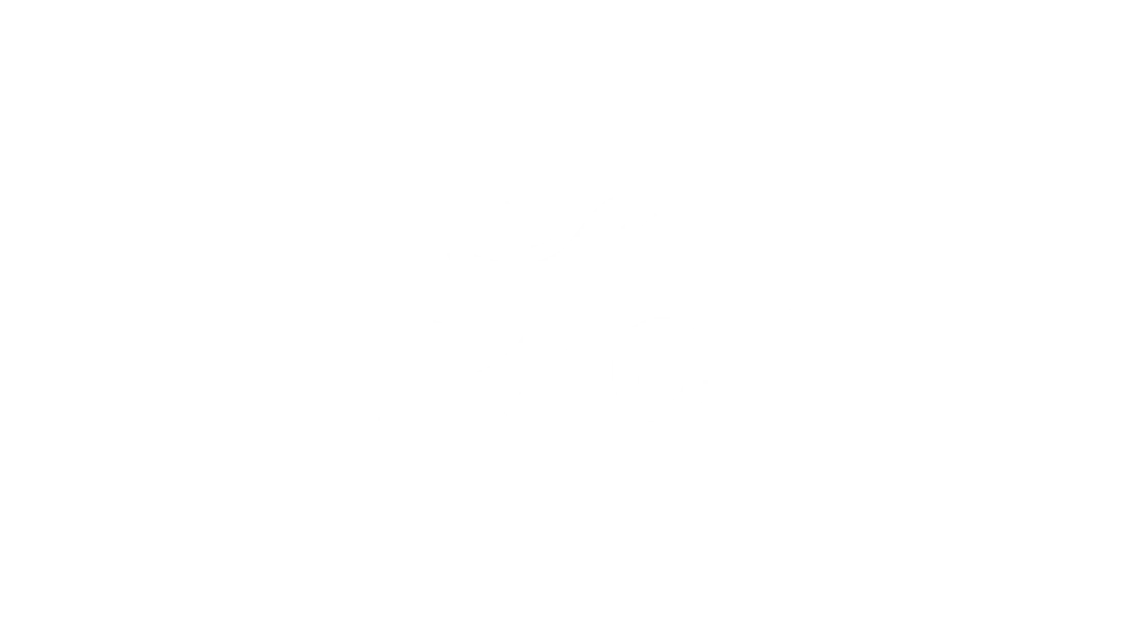 Main Logo