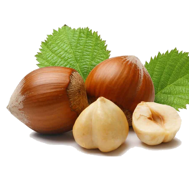 Hazelnut Latte