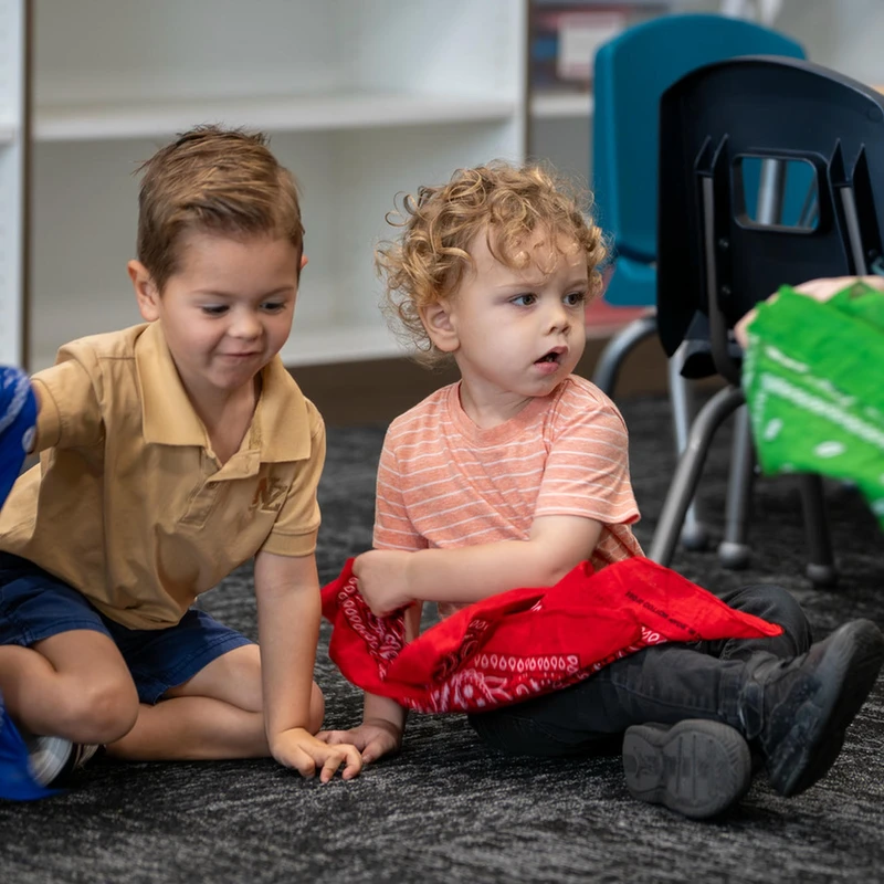 <span style="color:var(--primary-color-bg)">Early Childhood (Birth–5 Years)</span>