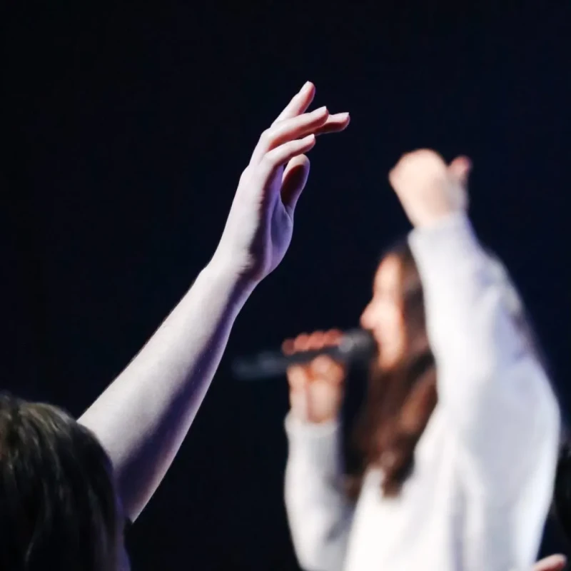 A person's arm is raised in the air, hand in focus. In the background, a blurry figure of a woman sings into a microphone on a dark stage.