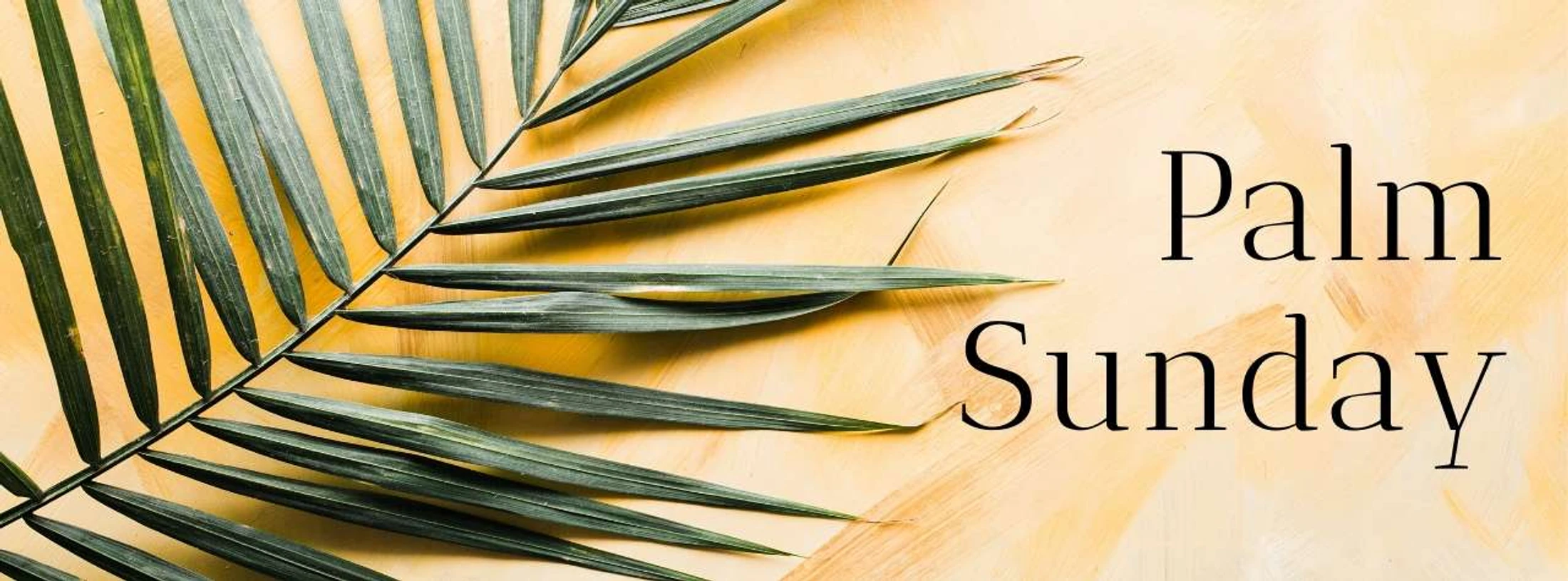 5 April 2020 - Palm Sunday (John 12:1-33)
