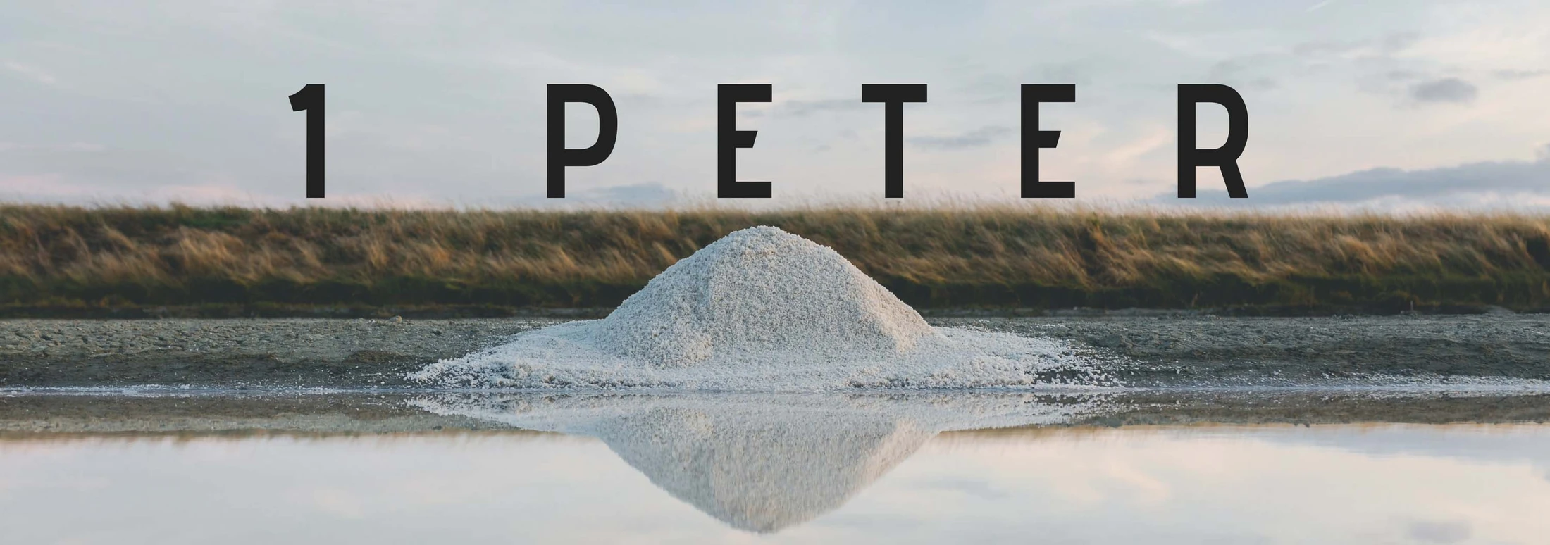 12 August 2018 - 1 Peter 1:13-2:3
