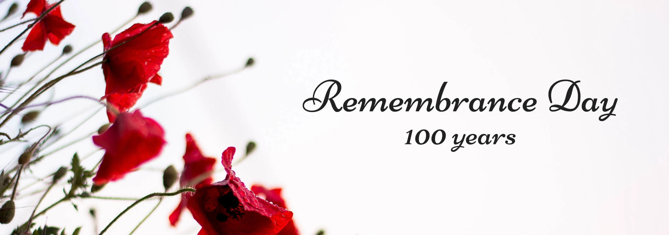 11 November 2018 - Remembrance Day