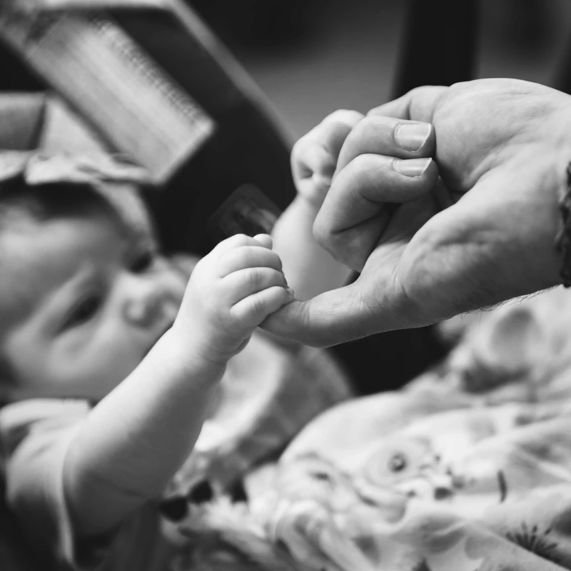 <p><span style="letter-spacing: 0.3rem;">CELEBRATING NEW LIFE</span></p>