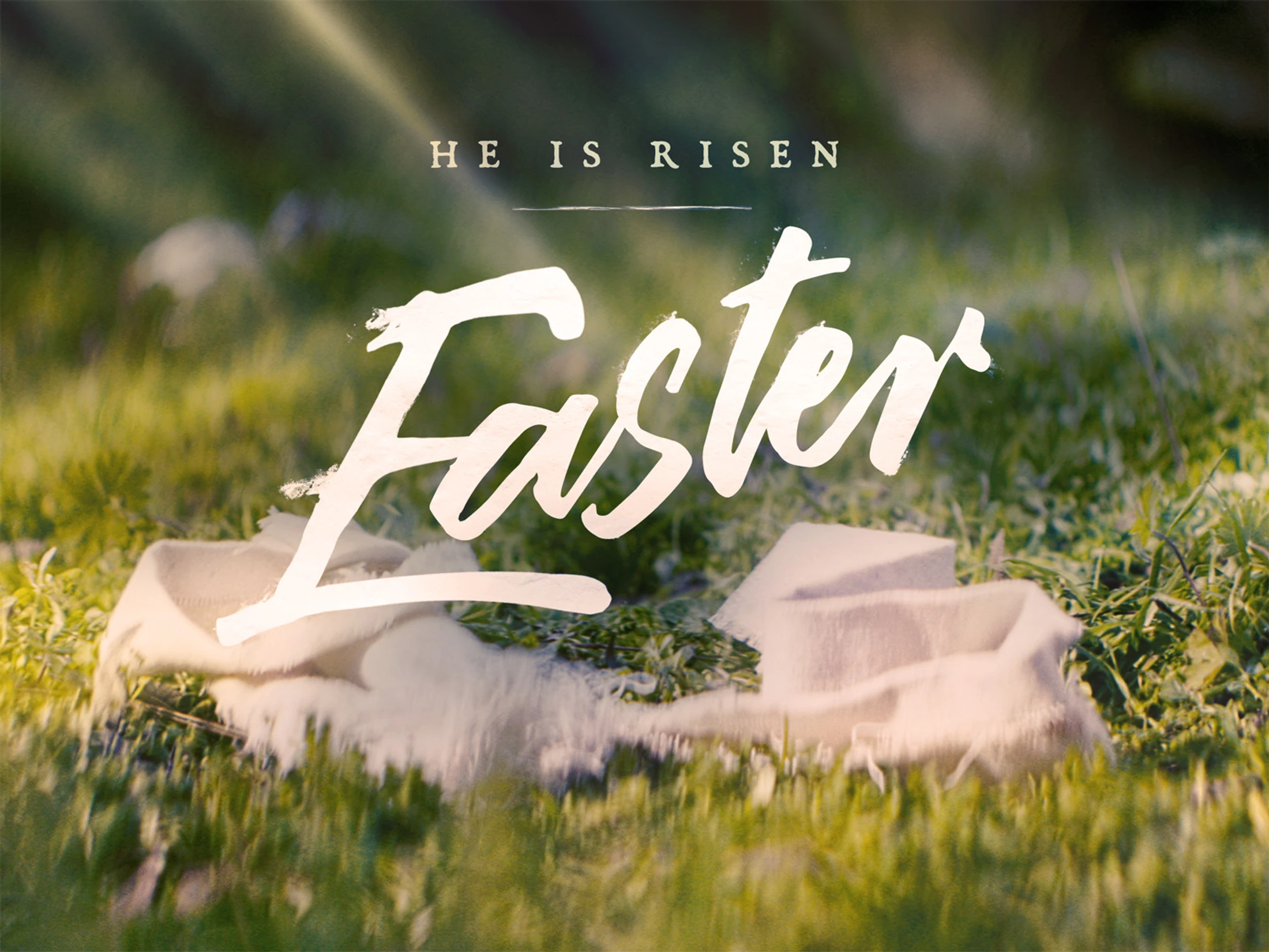Easter 2022: Hope for the Hurting