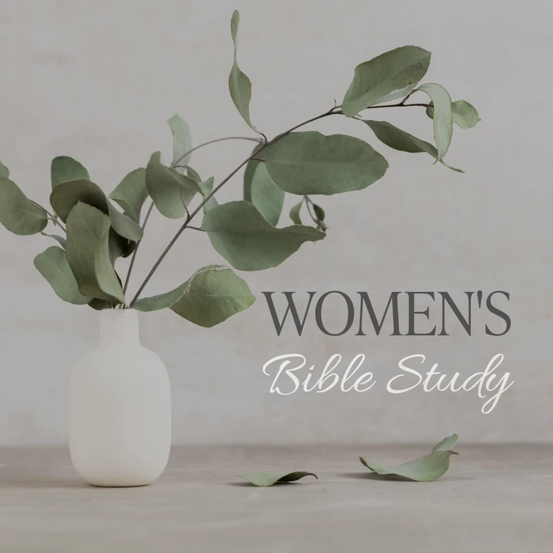 A minimalist image of eucalyptus leaves in a white vase. Text overlay reads, "Women's Bible Study" in gray and white fonts.