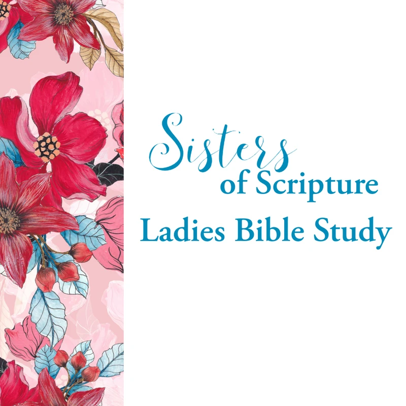 A promotional graphic for a women's group. It features a floral border on the left and blue text that reads 'Sisters of Scripture Ladies Bible Study'.