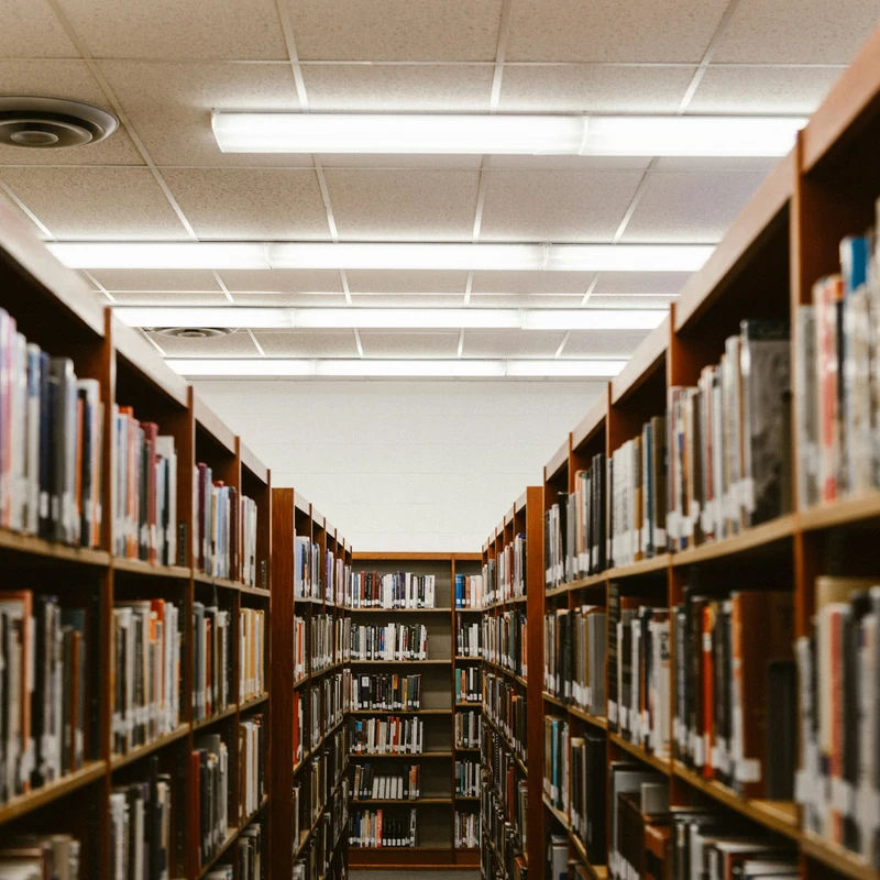 College Students