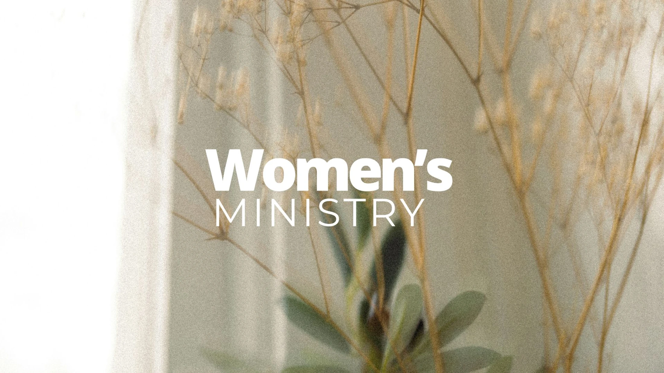 Women's Evening Summer Book Study