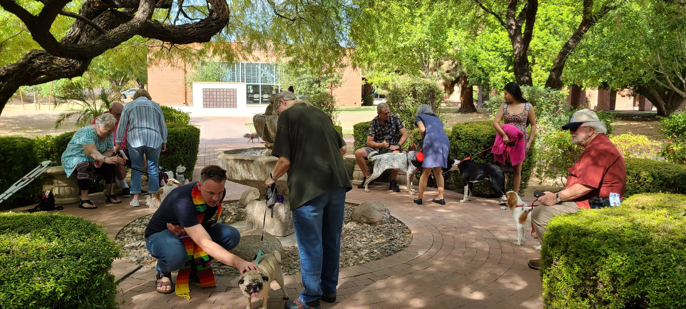 Blessing of the Animals