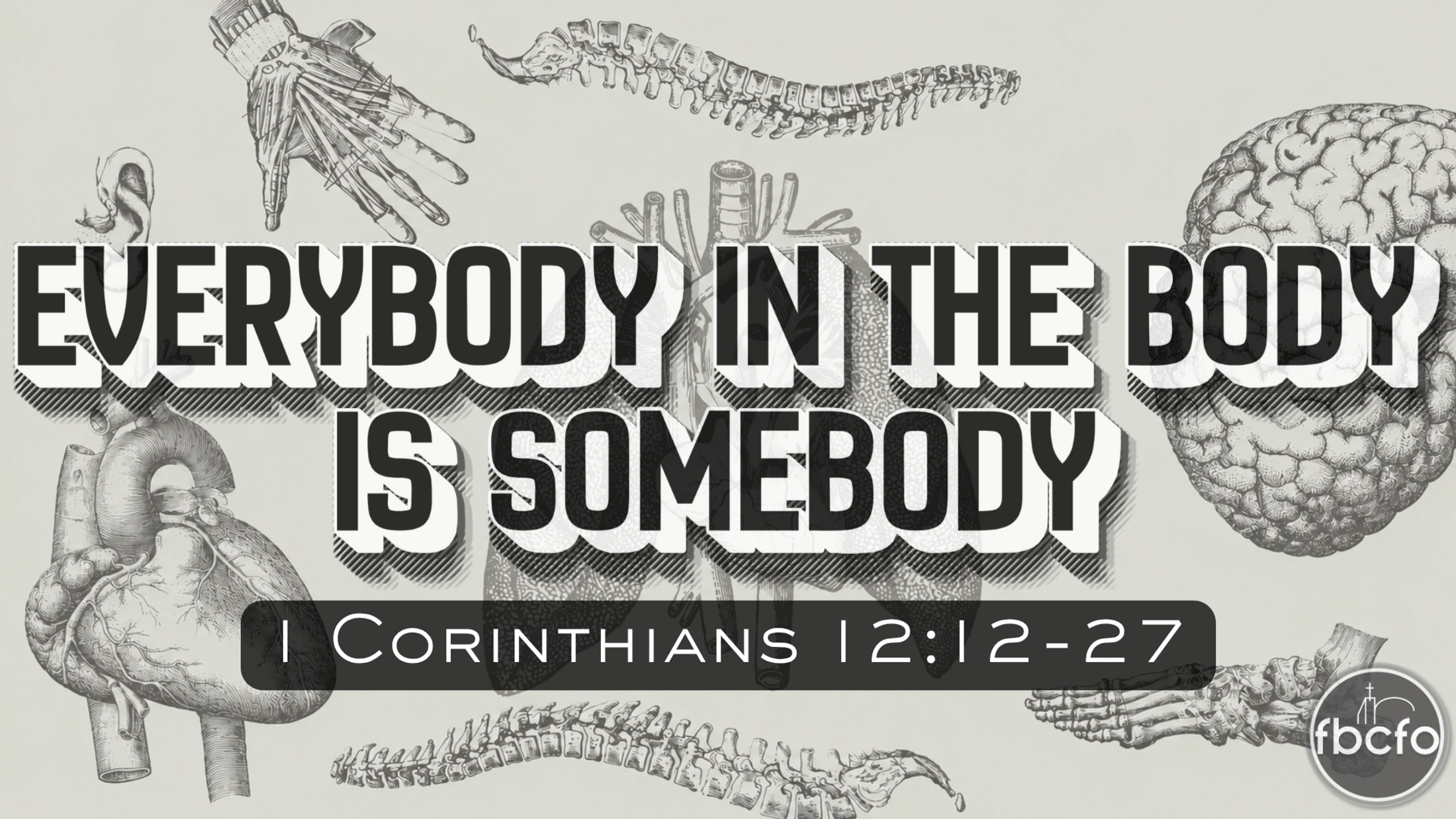 June 7, 2026 | Everybody in the Body is Somebody